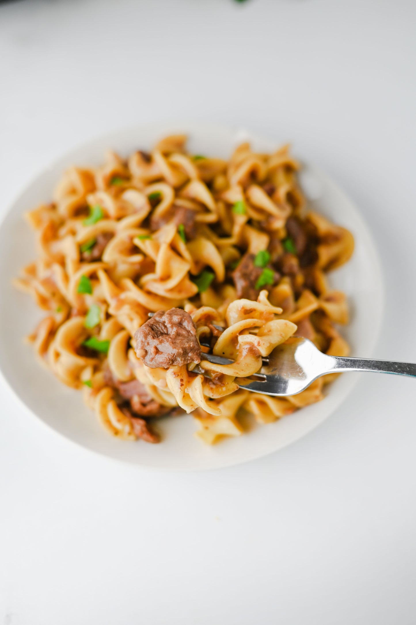 Crock Pot Beef and Noodles Set #2