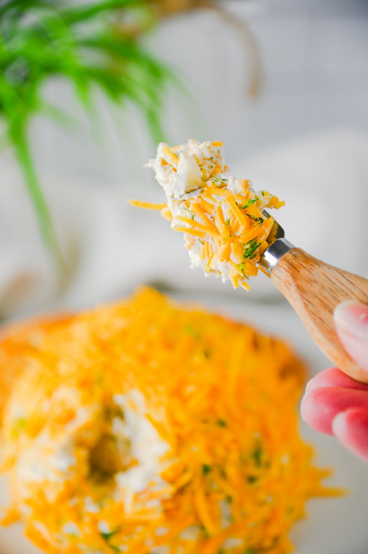 Dill Pickle Cheese Ball Set #2