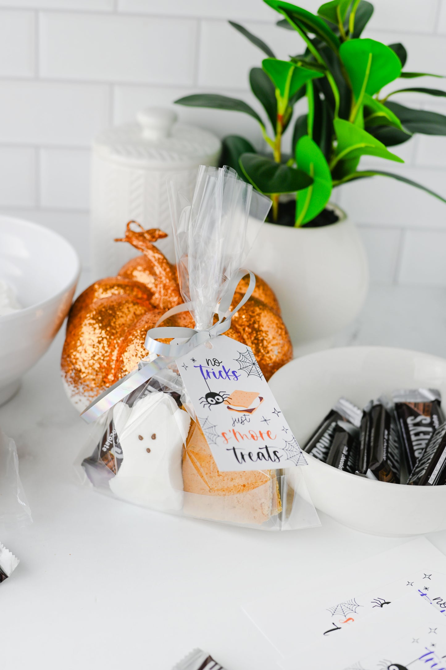 S'more Treats Treat Bag Set #3