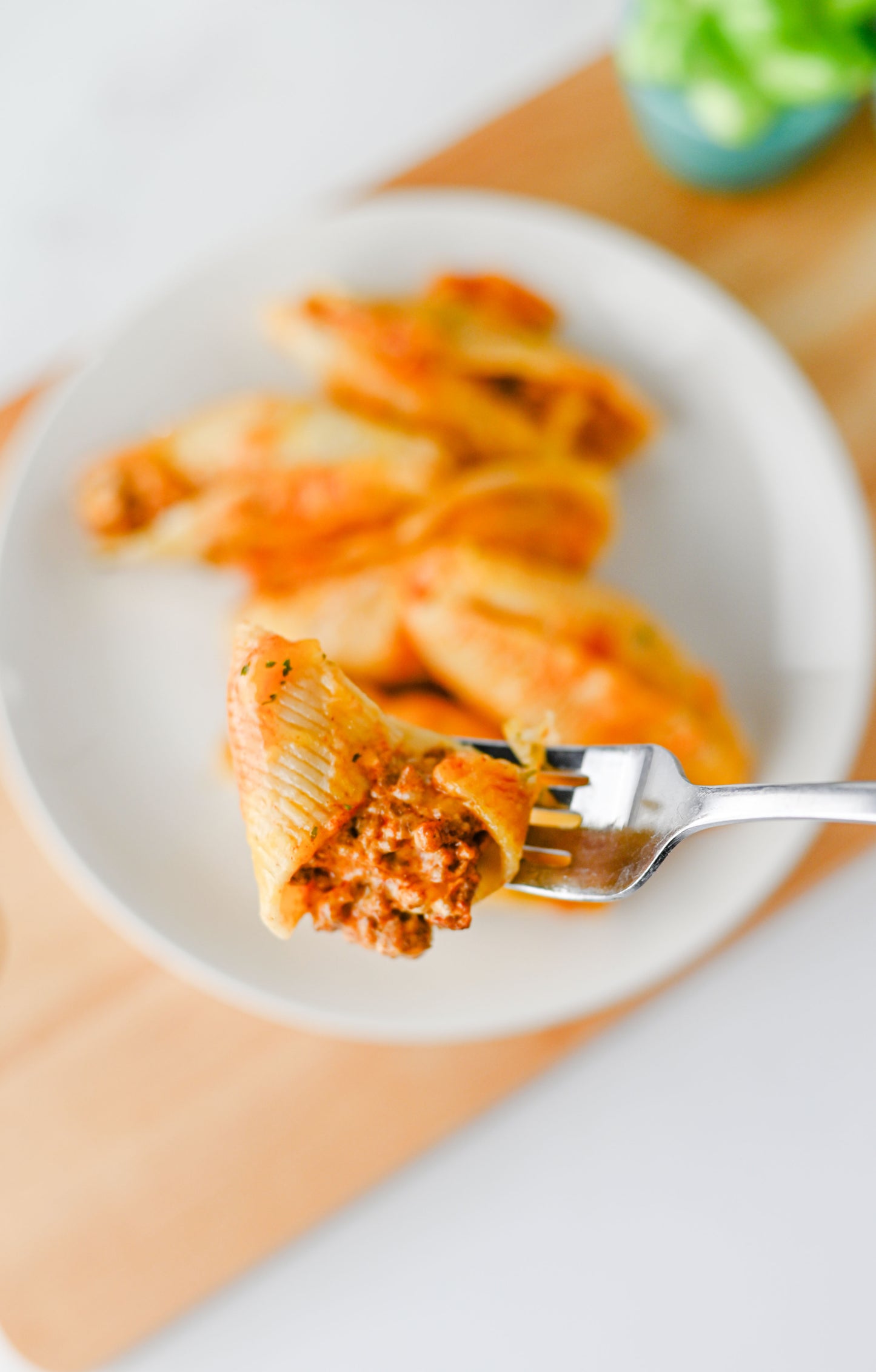 Mexican Stuffed Shells Set #4