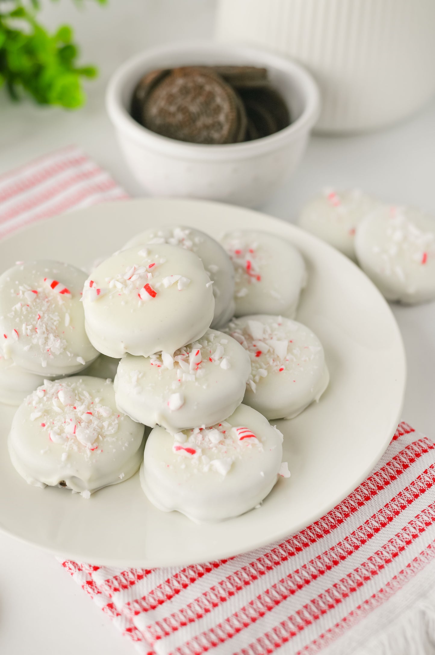 Peppermint Crunch/Bark Oreos Set #5