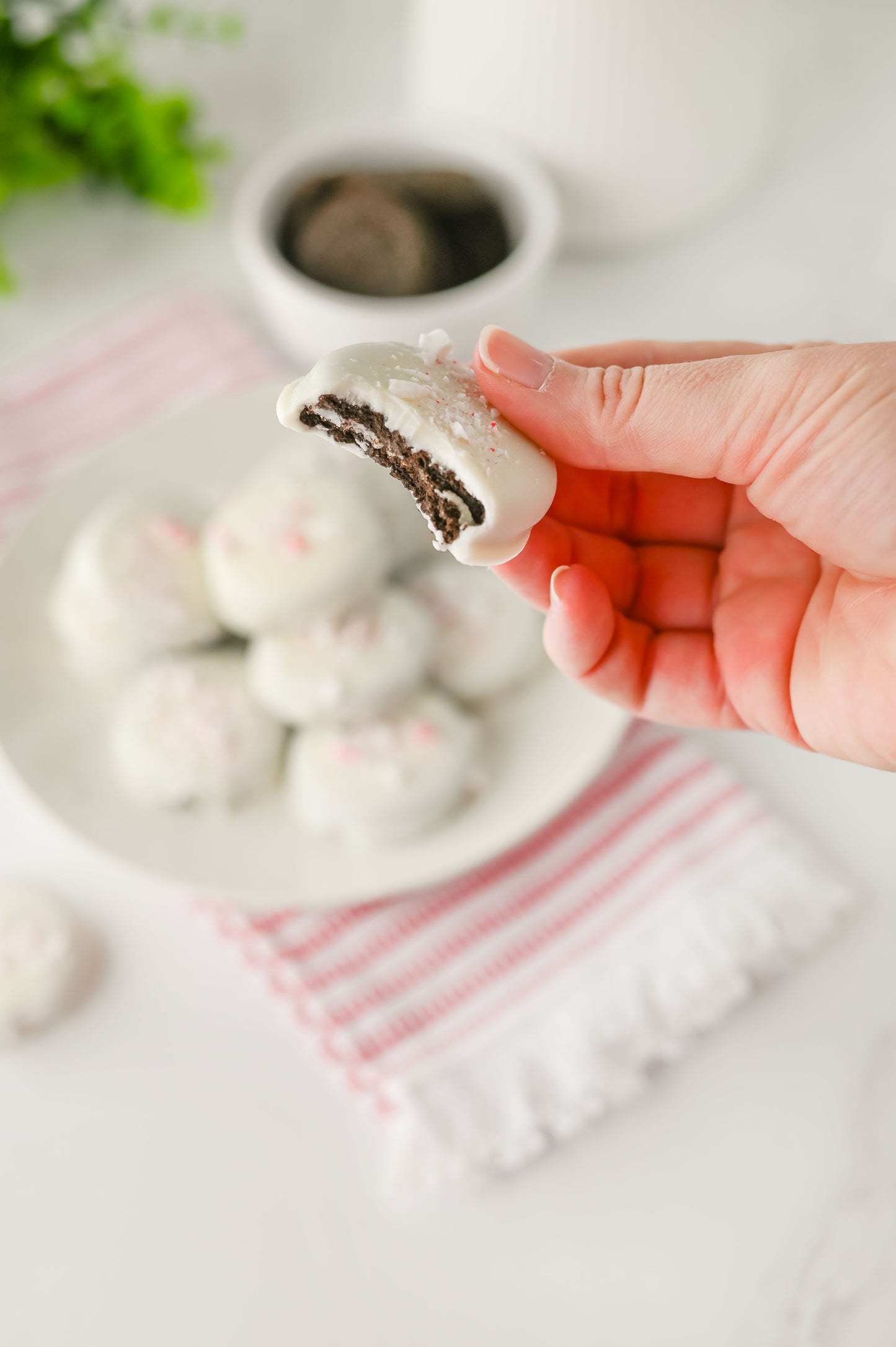Peppermint Crunch/Bark Oreos Set #5