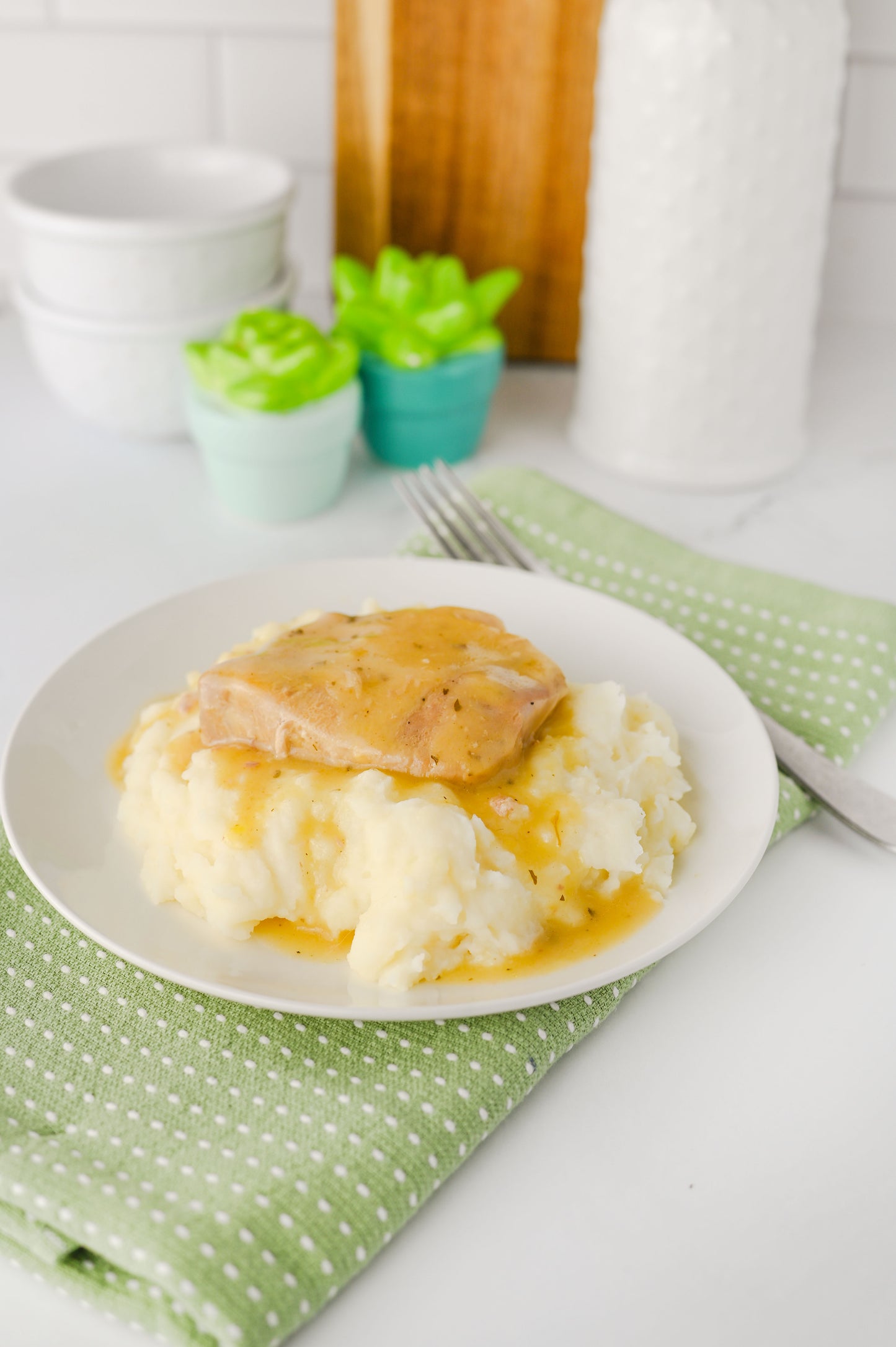 Crock Pot Ranch Pork Chops Set #6