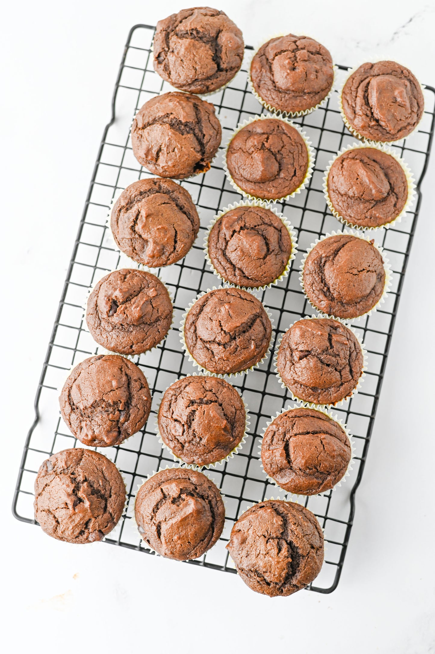 Pumpkin Chocolate Muffins Set #3
