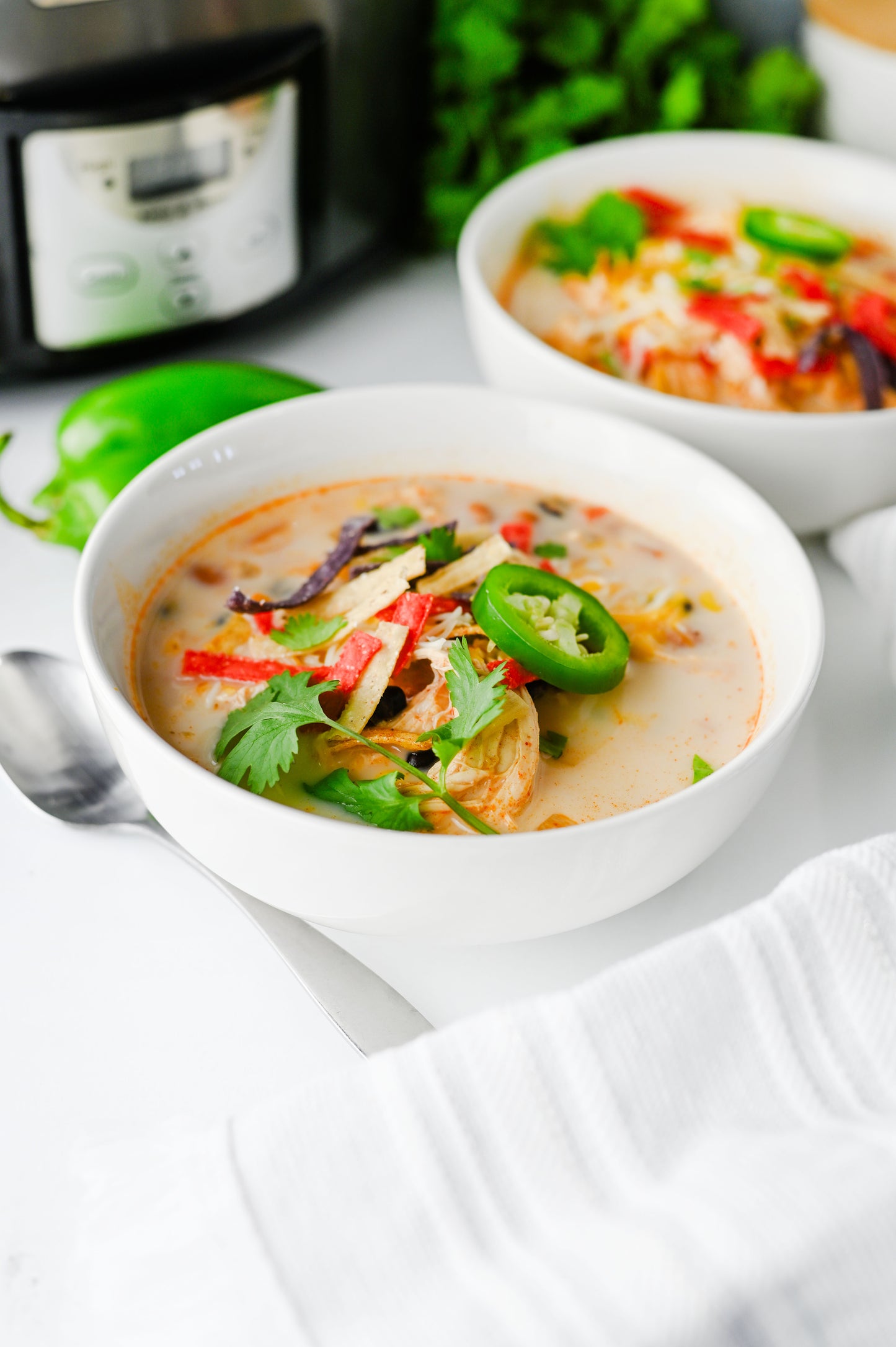 Slow Cooker Chicken Tortilla Soup Set #1
