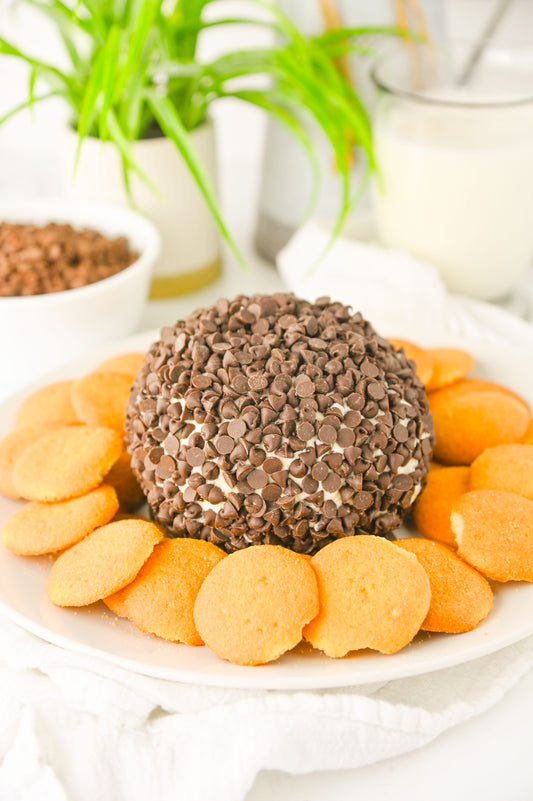 Chocolate Chip Cheese Ball Set #1