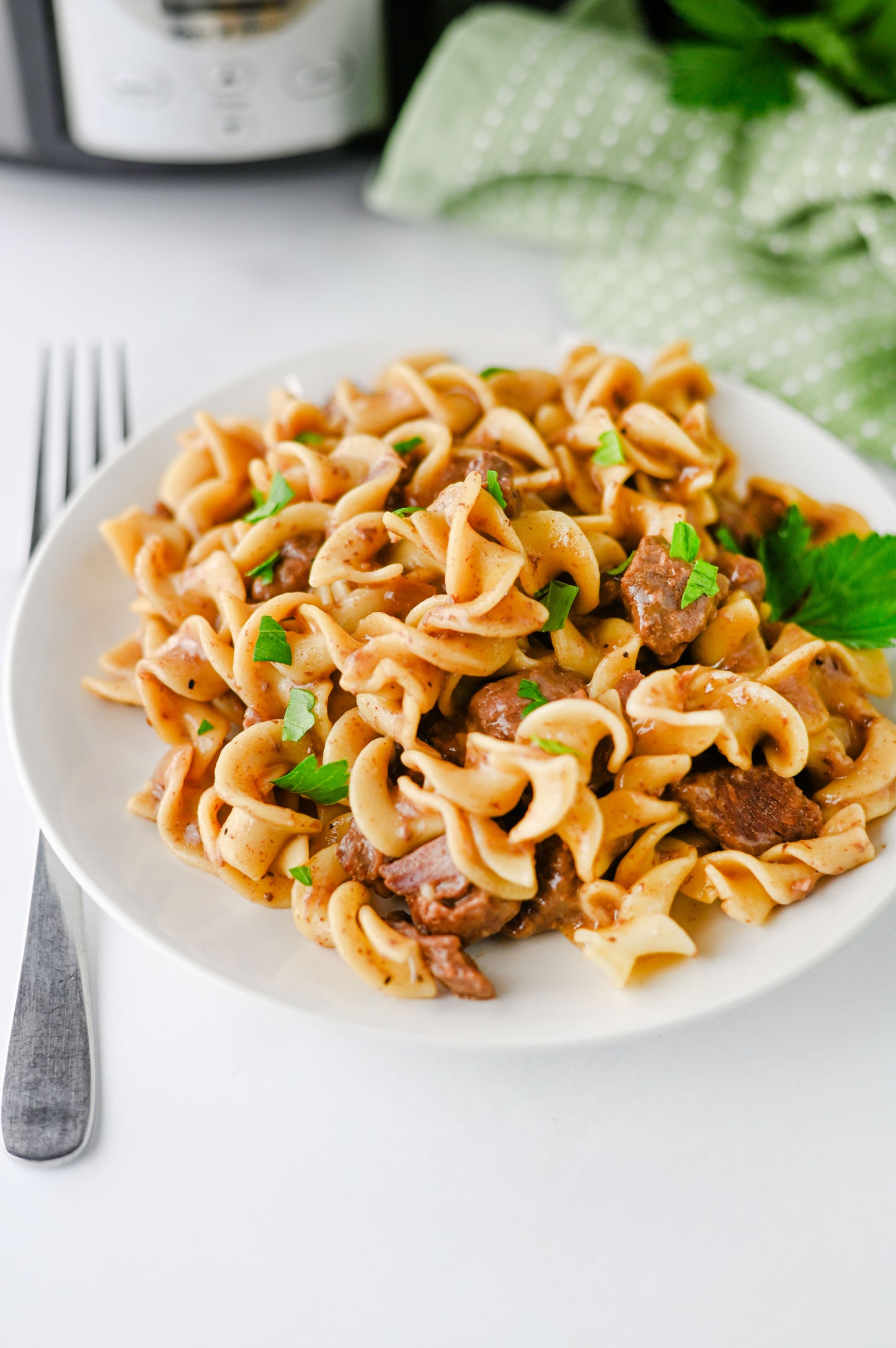 Crock Pot Beef and Noodles Set #1