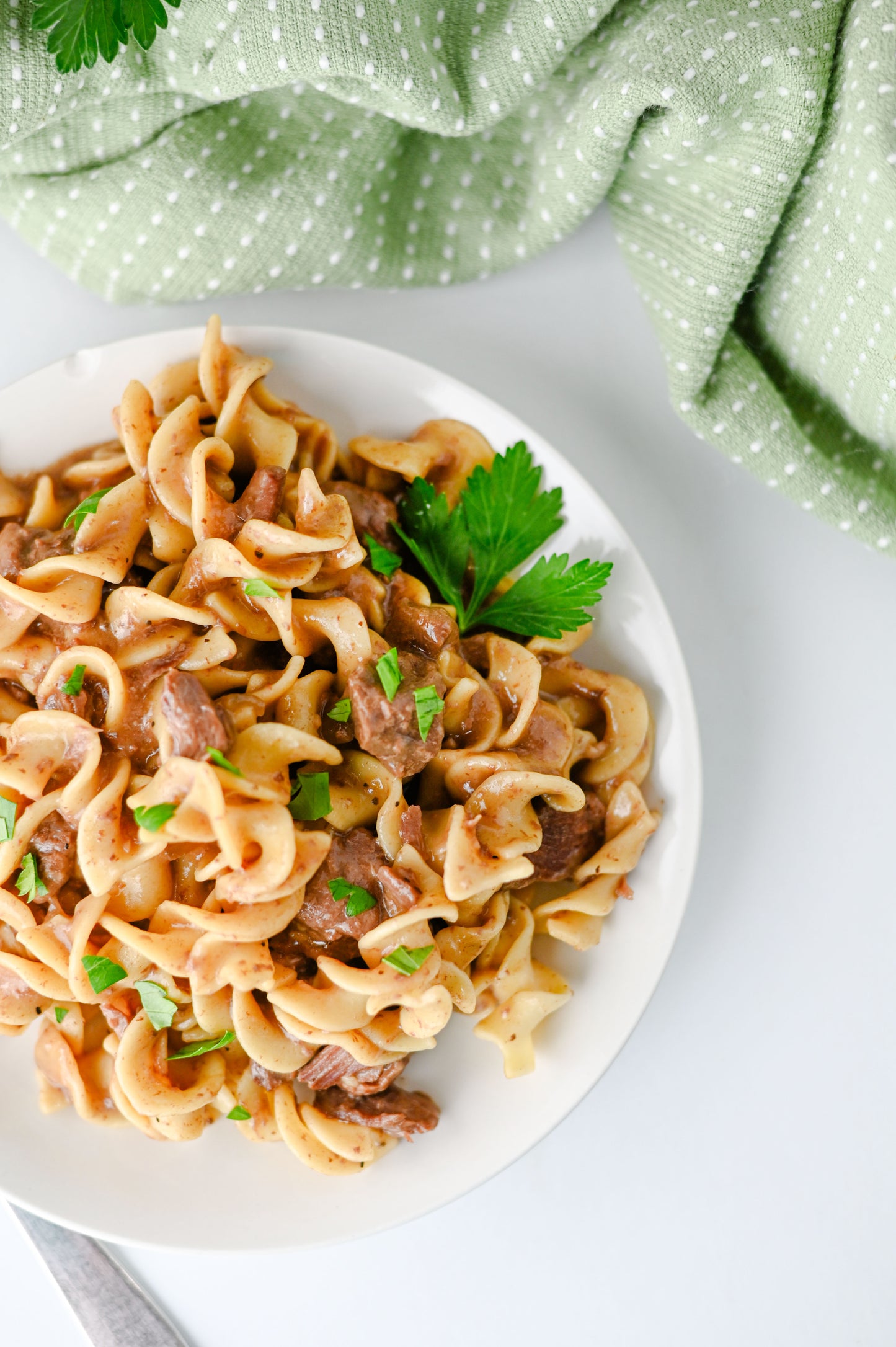 Crock Pot Beef and Noodles Set #1
