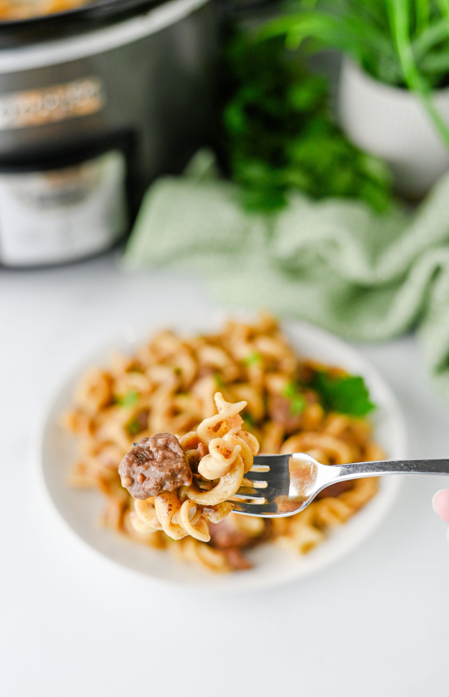 Crock Pot Beef and Noodles Set #1
