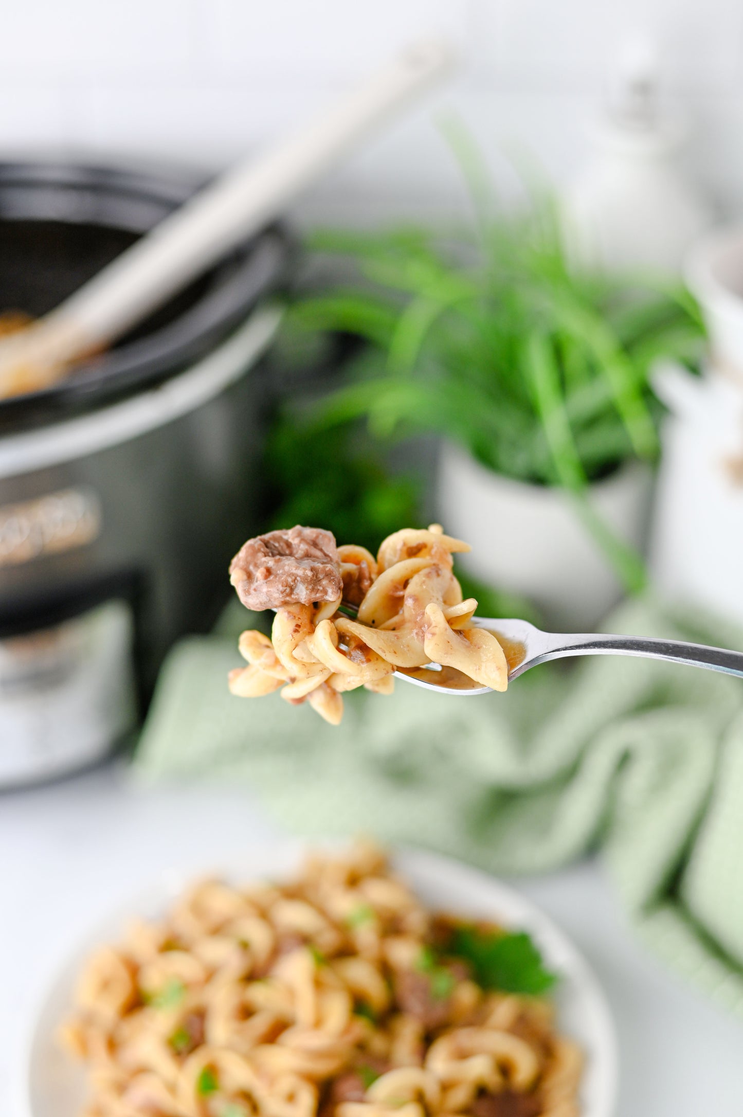 Crock Pot Beef and Noodles Set #1