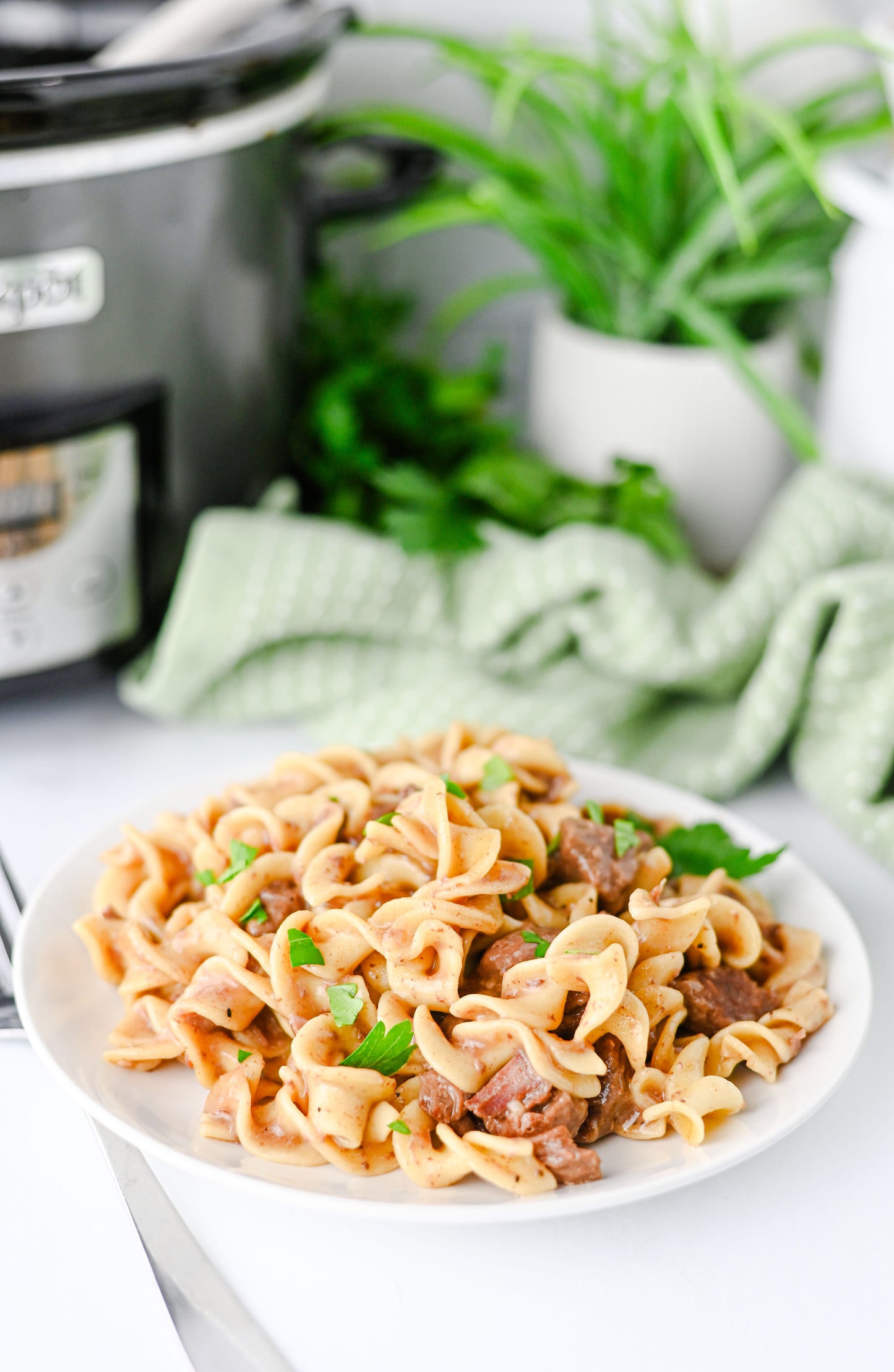 Crock Pot Beef and Noodles Set #1