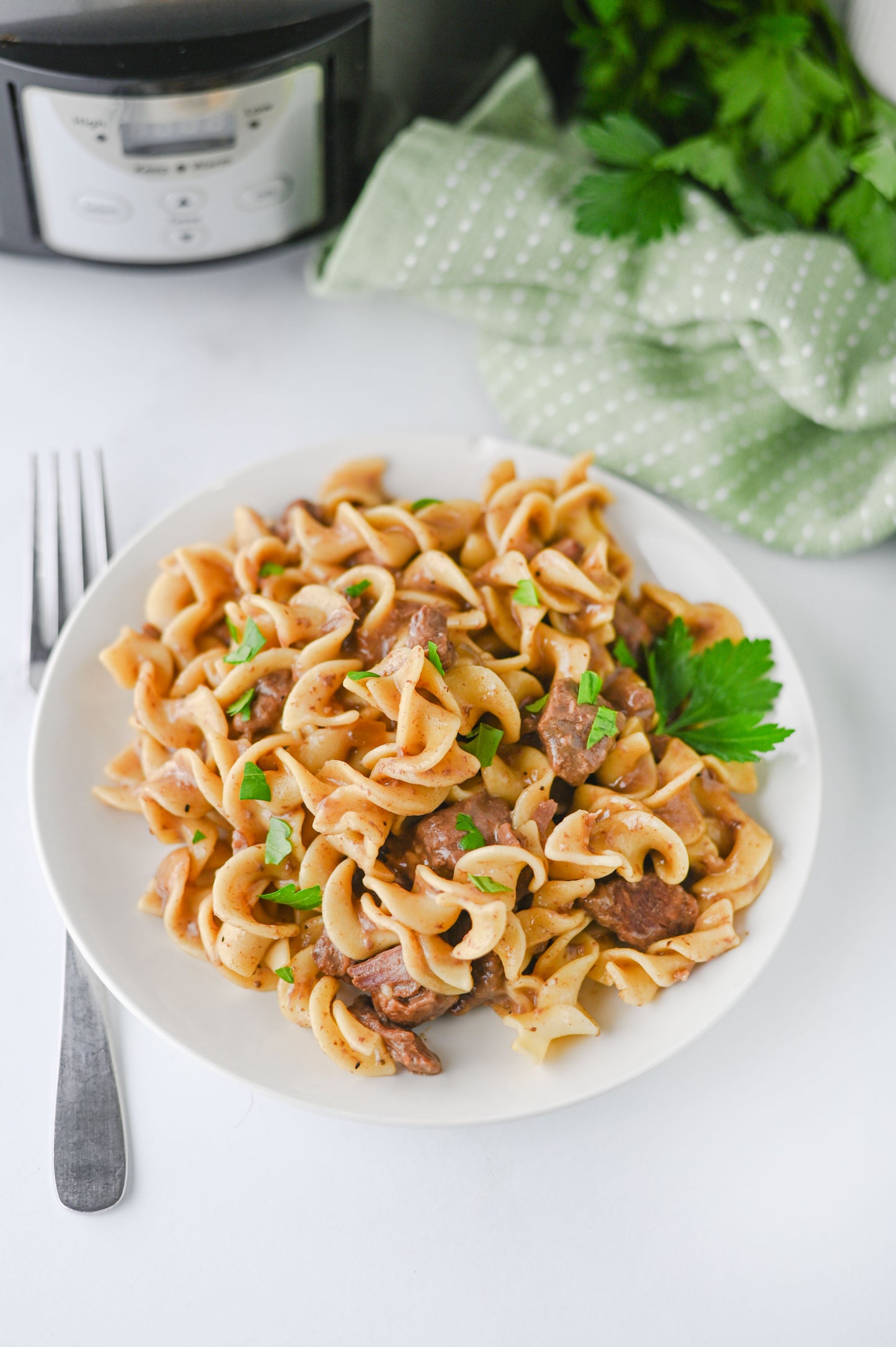 Crock Pot Beef and Noodles Set #1