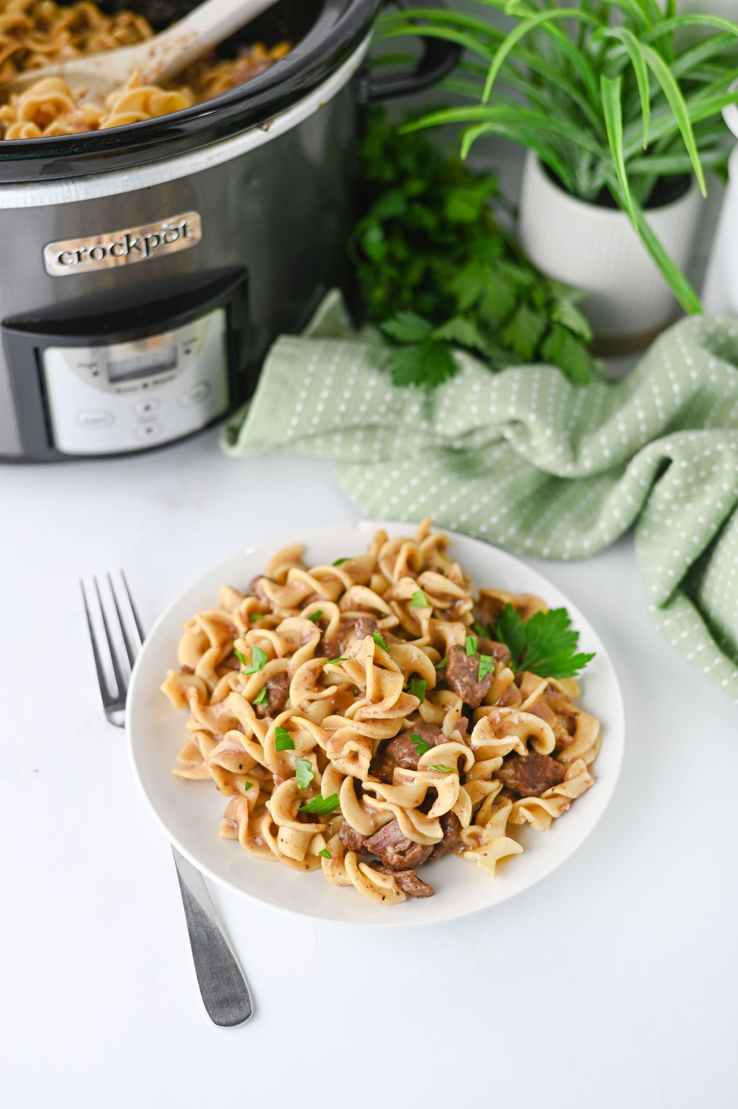Crock Pot Beef and Noodles Set #1