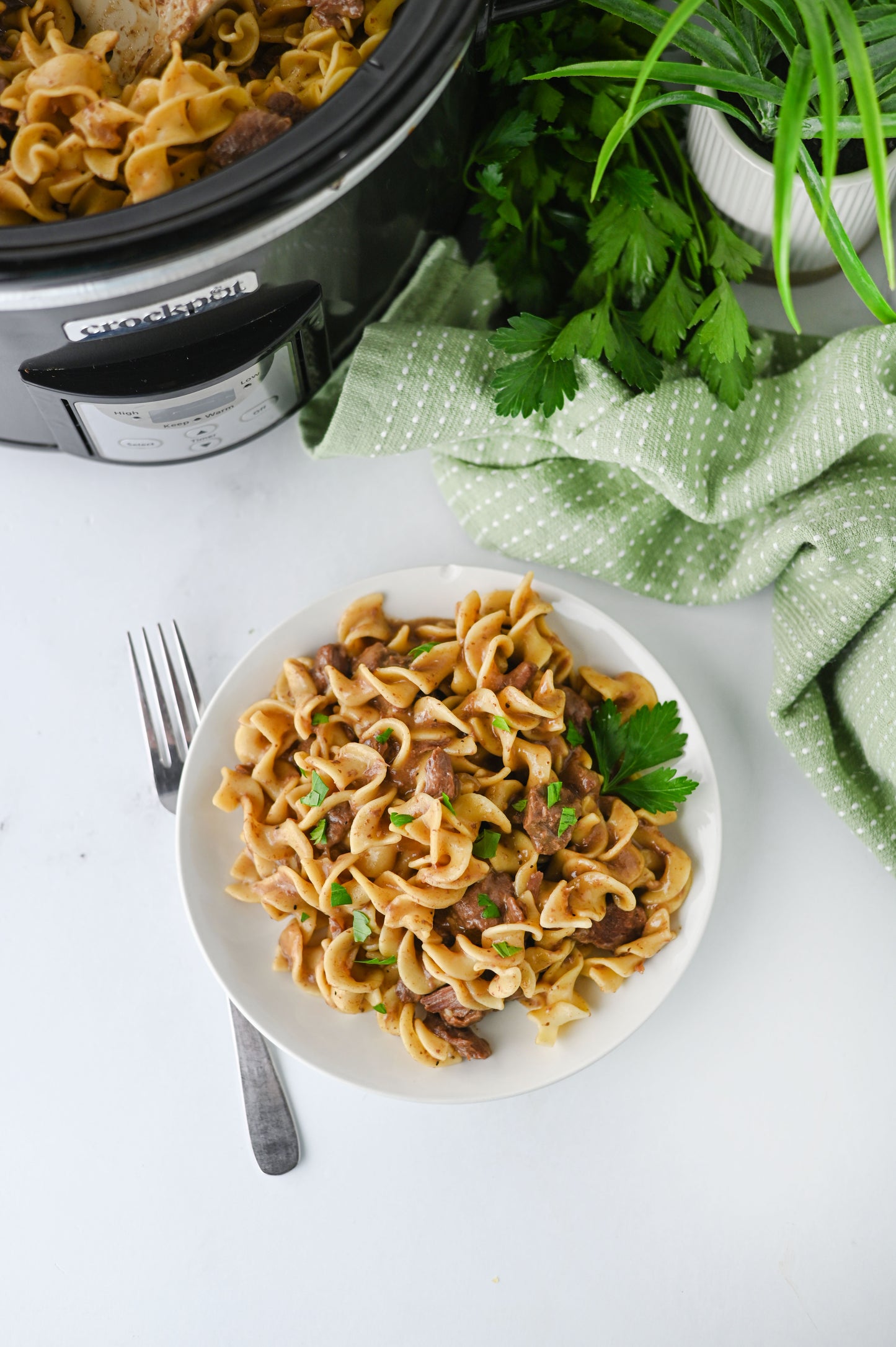 Crock Pot Beef and Noodles Set #1