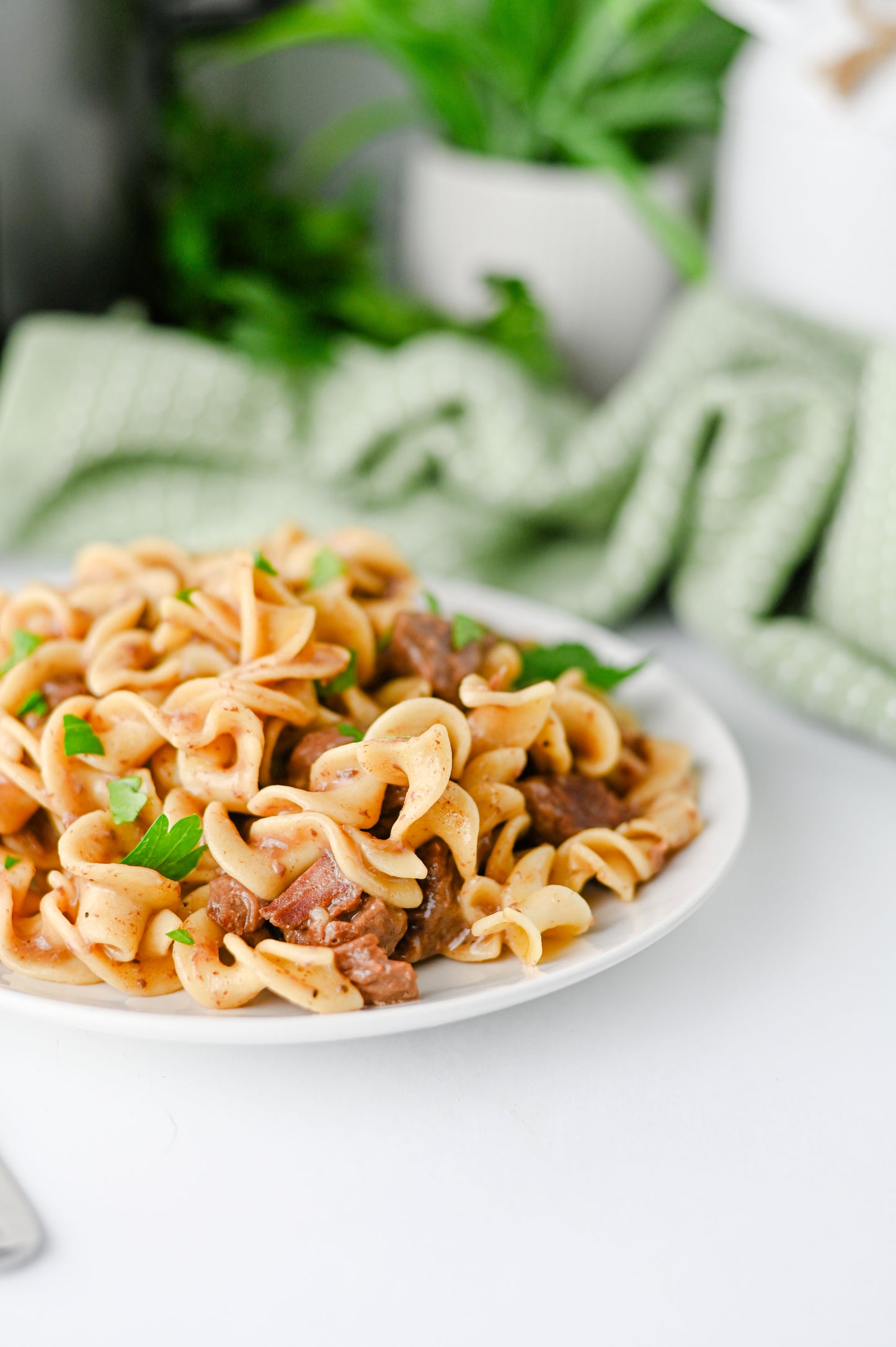Crock Pot Beef and Noodles Set #1