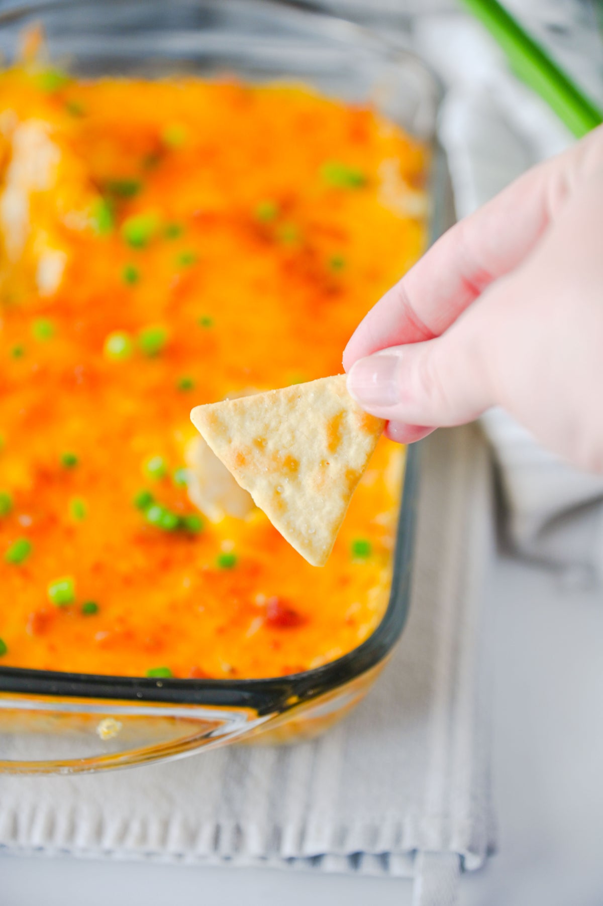 Crack Chicken Dip Set #1