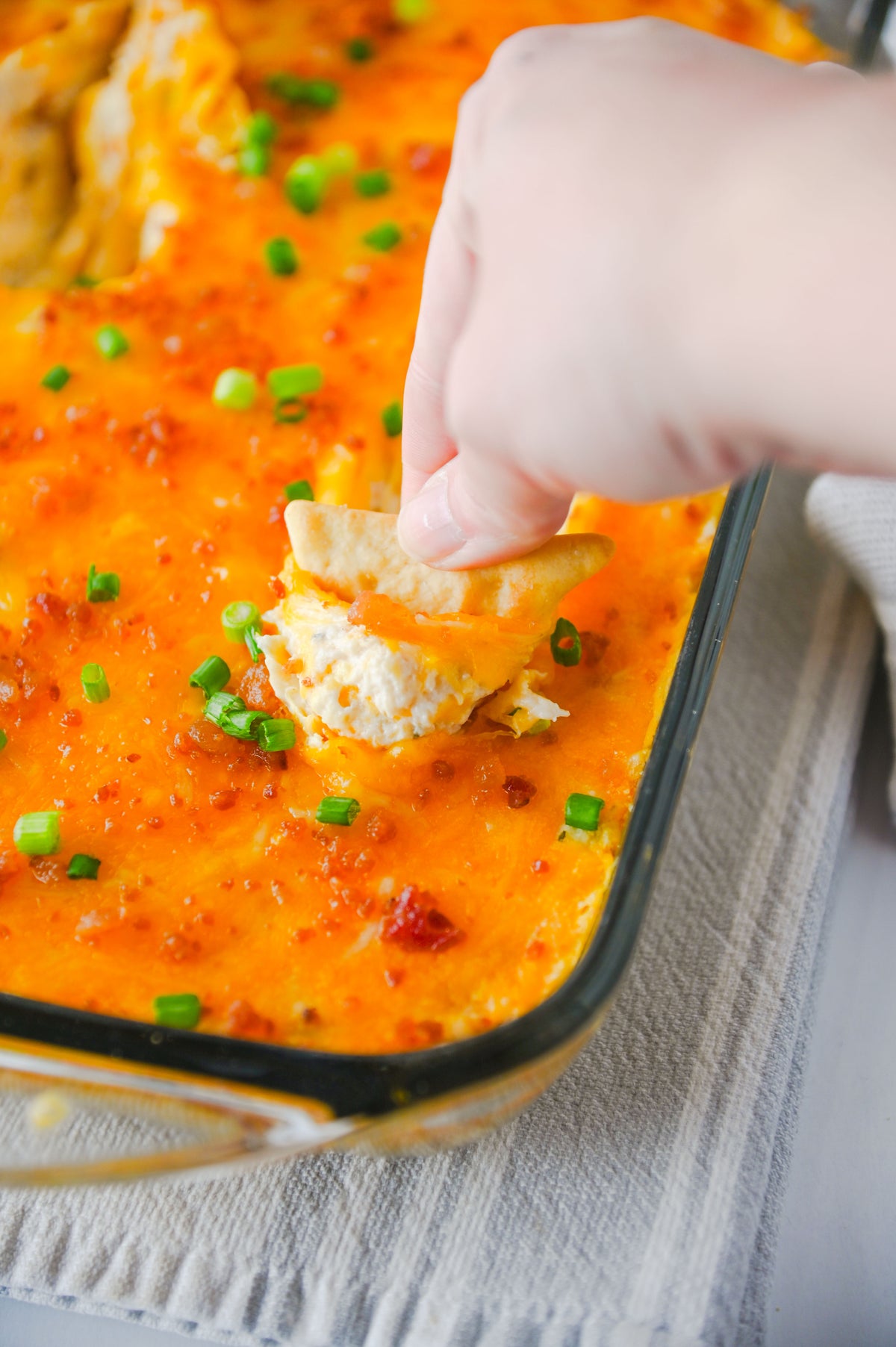 Crack Chicken Dip Set #1