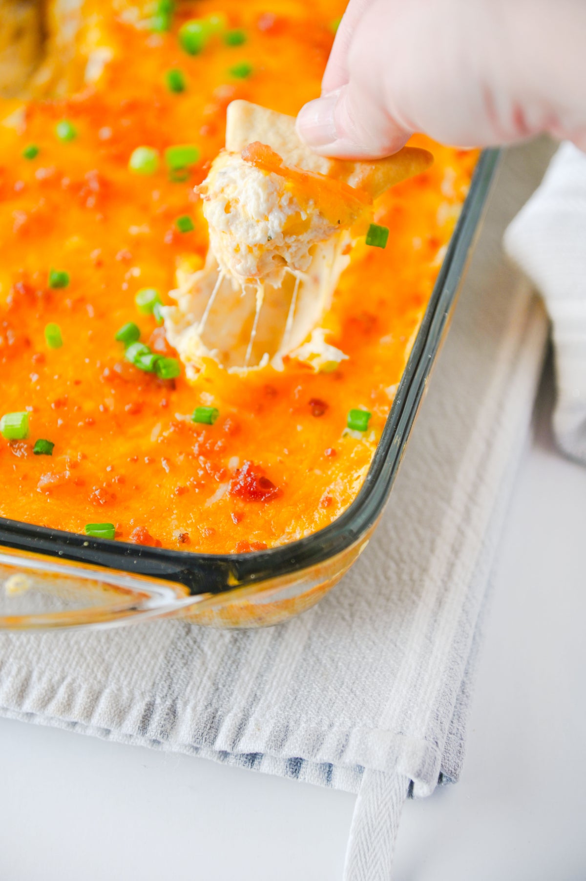 Crack Chicken Dip Set #1