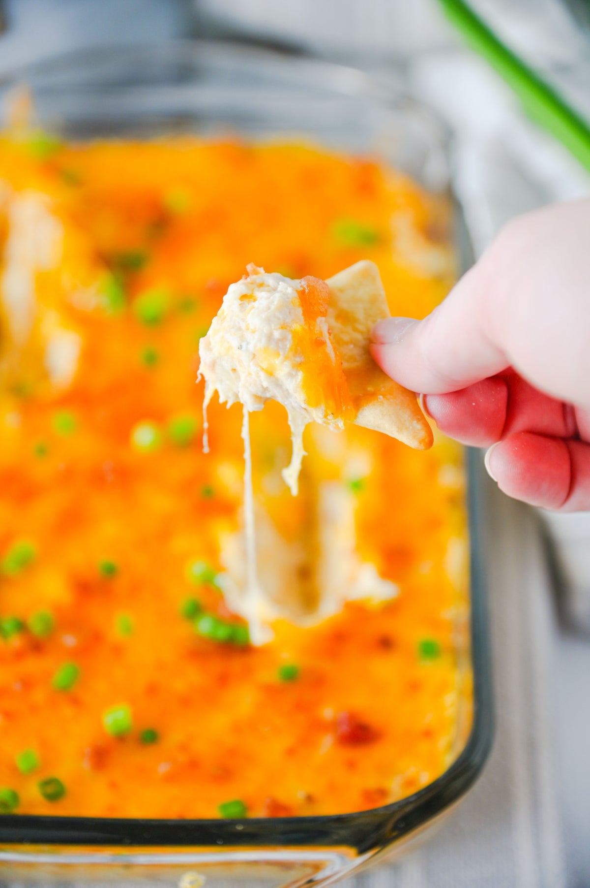 Crack Chicken Dip Set #1