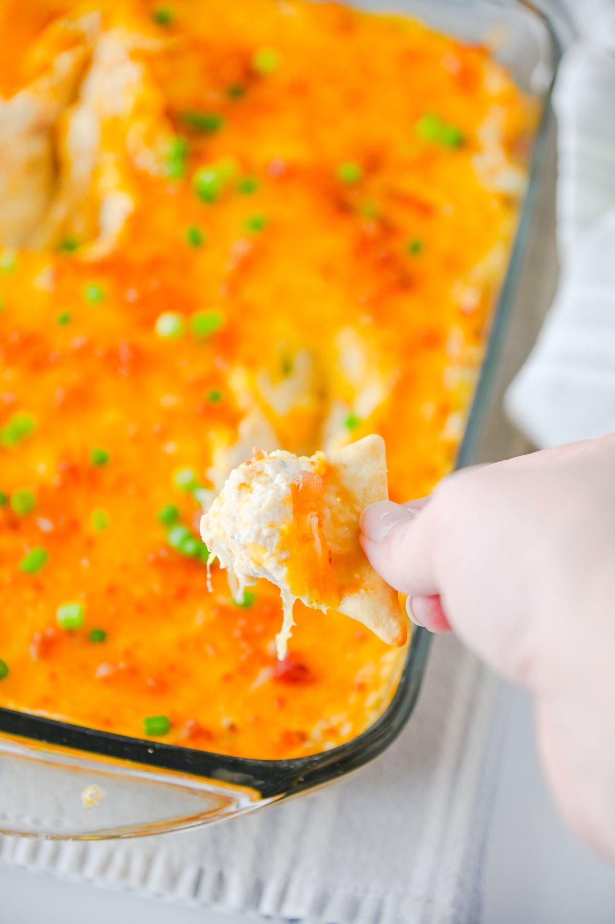 Crack Chicken Dip Set #1