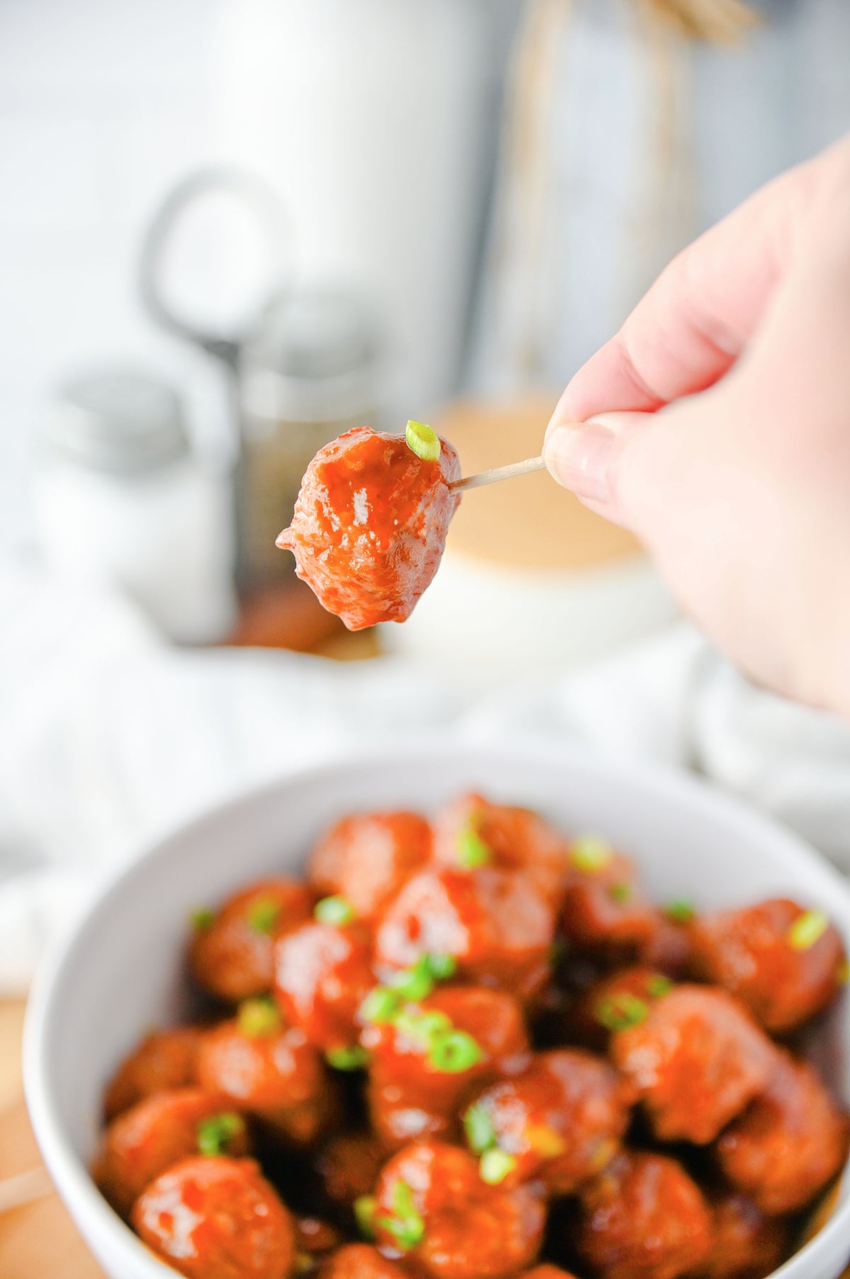 Cranberry Meatballs Set #1