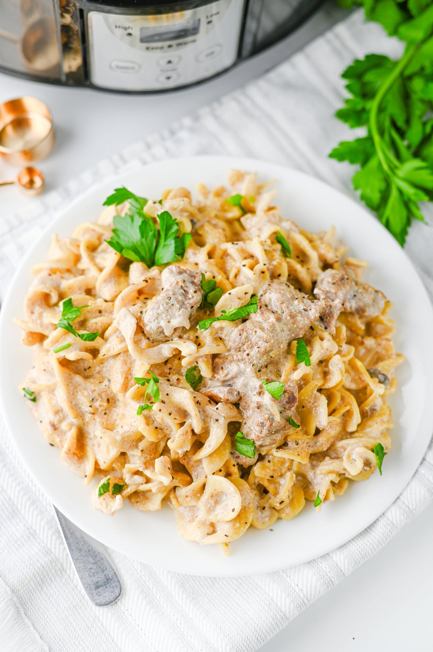 Crock Pot Beef Stroganoff Set #1