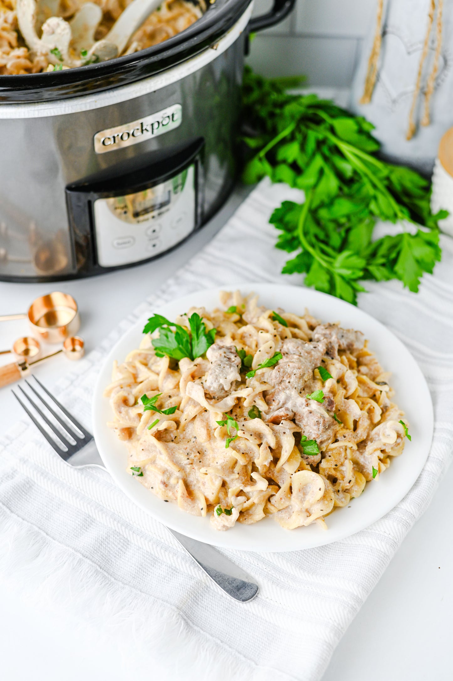 Crock Pot Beef Stroganoff Set #1