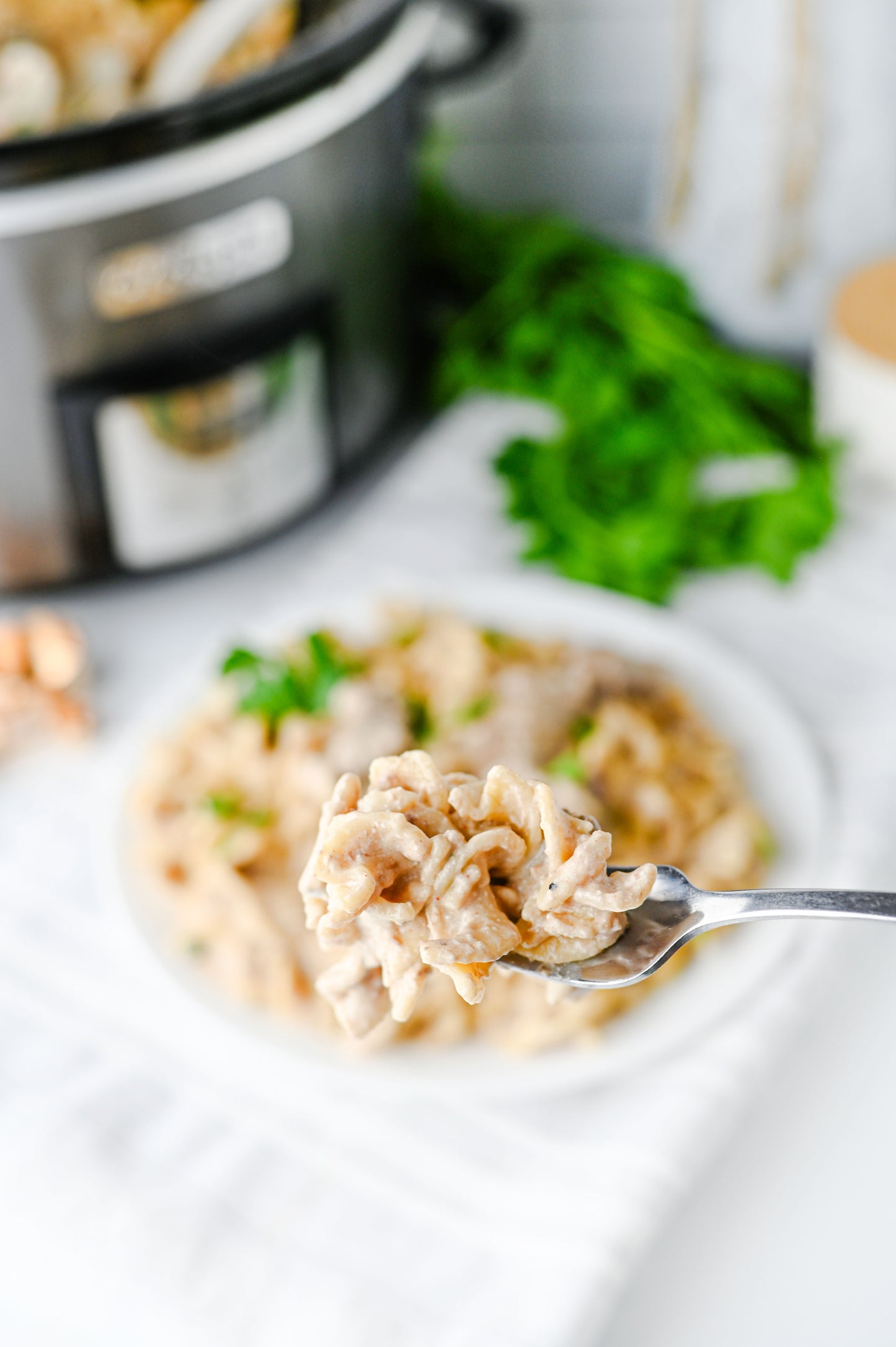 Crock Pot Beef Stroganoff Set #1
