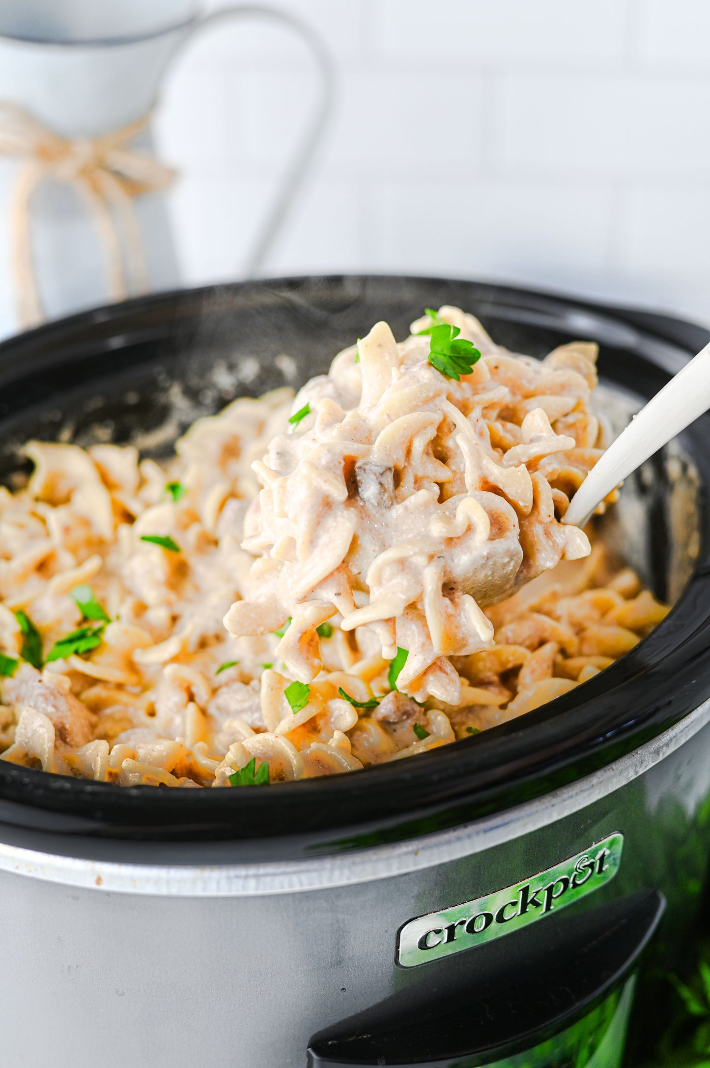 Crock Pot Beef Stroganoff Set #1