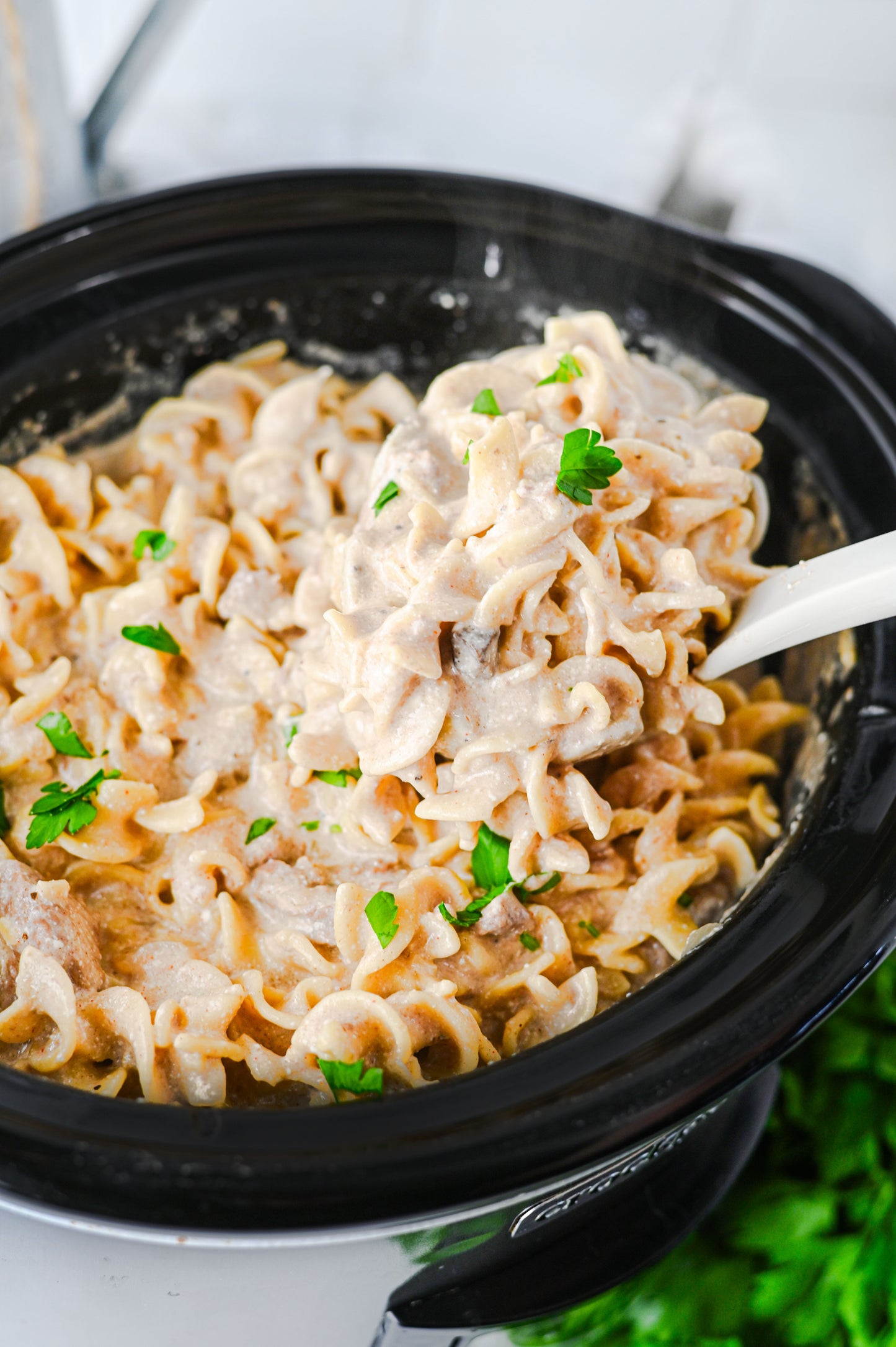 Crock Pot Beef Stroganoff Set #1