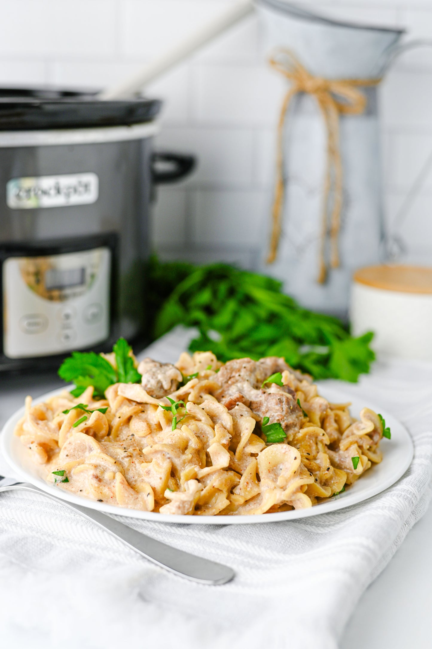 Crock Pot Beef Stroganoff Set #1