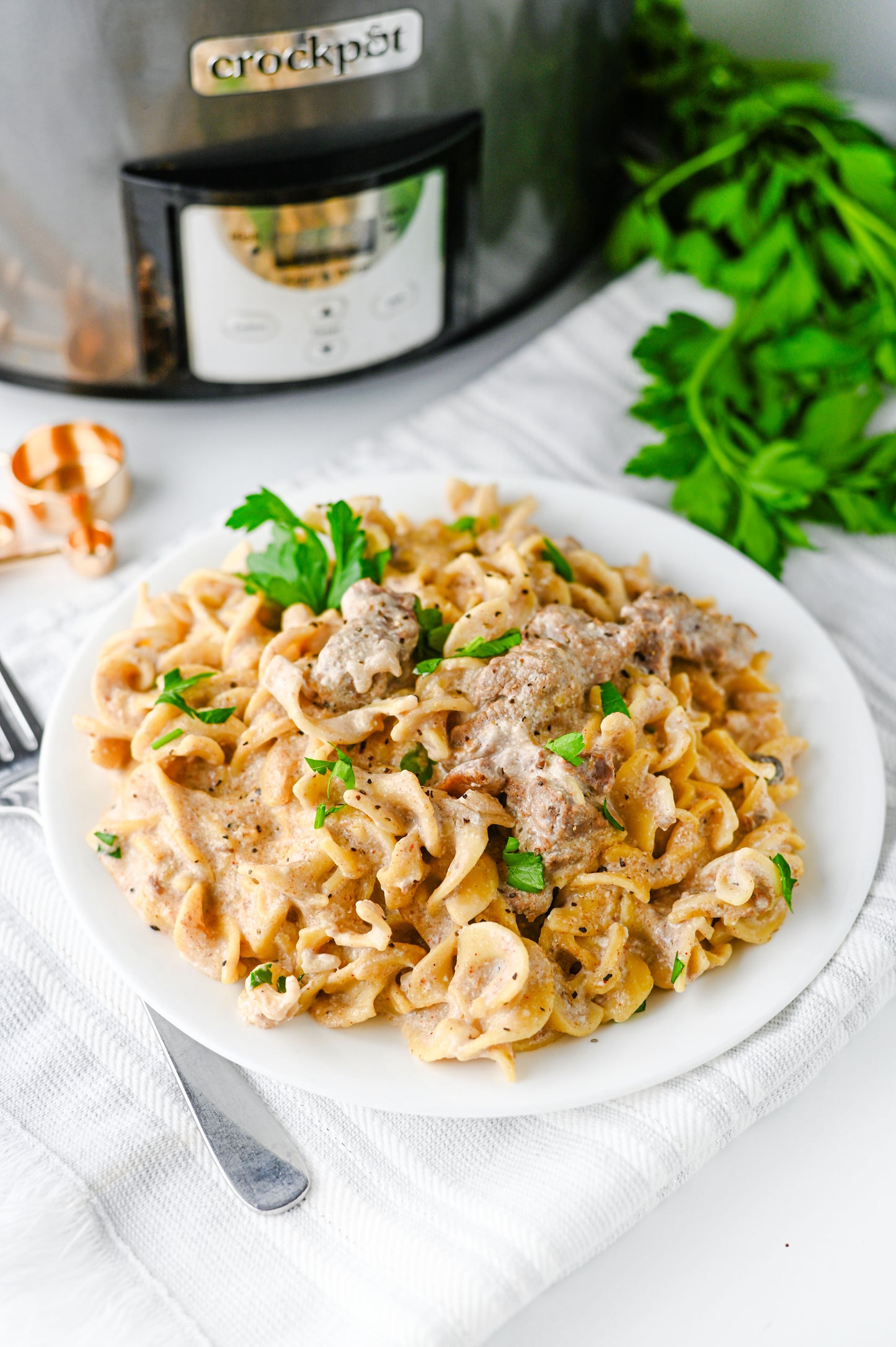 Crock Pot Beef Stroganoff Set #1