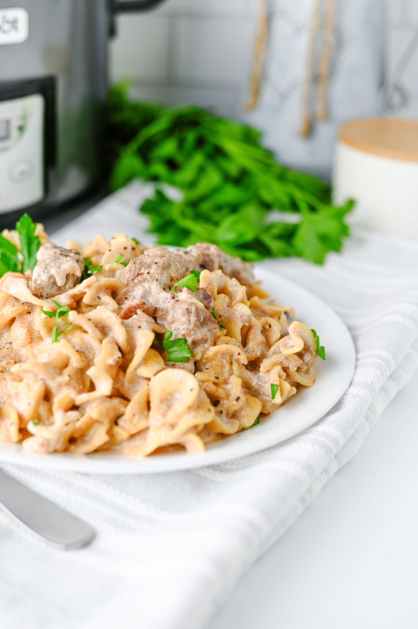 Crock Pot Beef Stroganoff Set #1