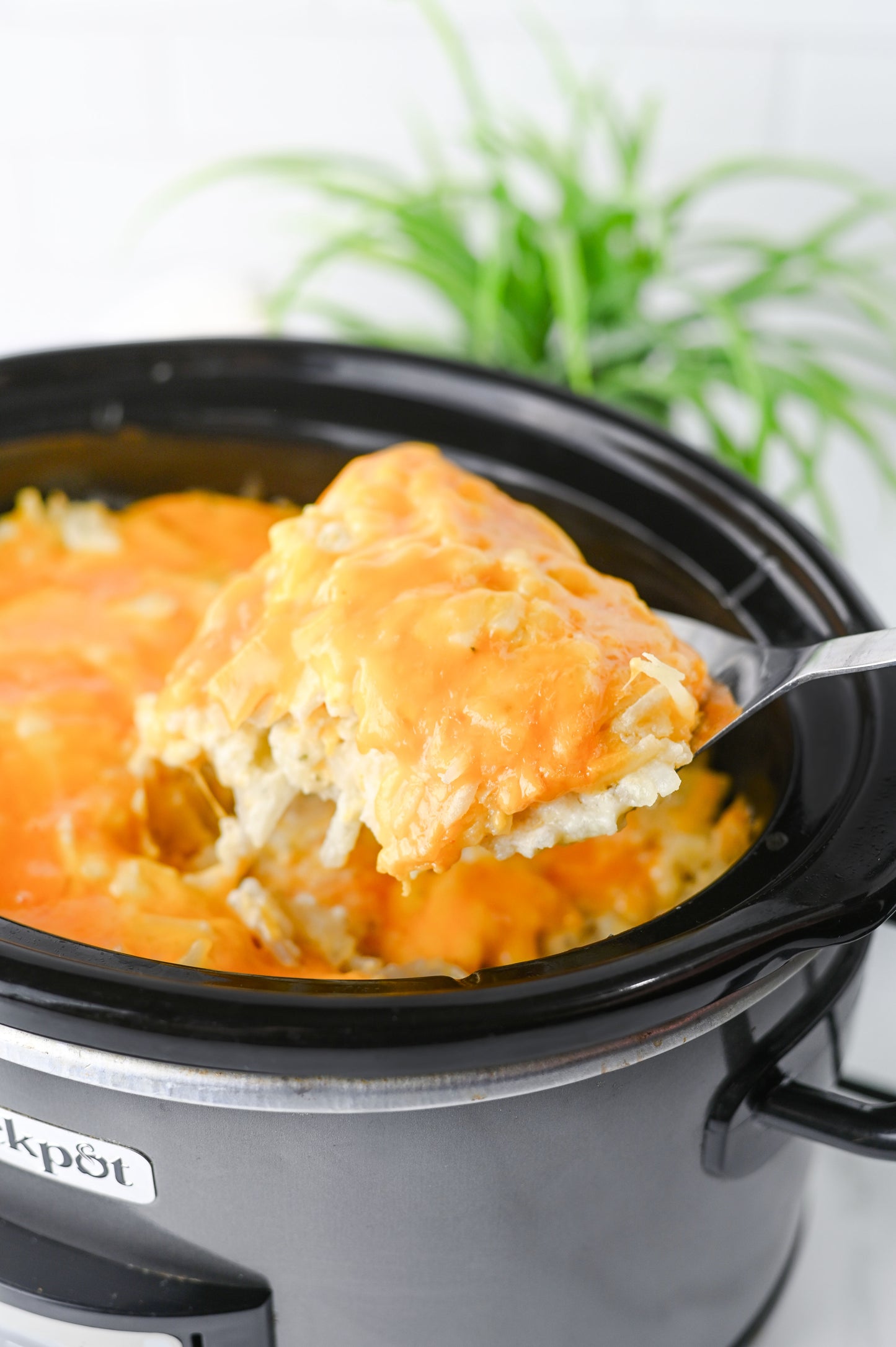 Crockpot Hashbrown Casserole Set #1
