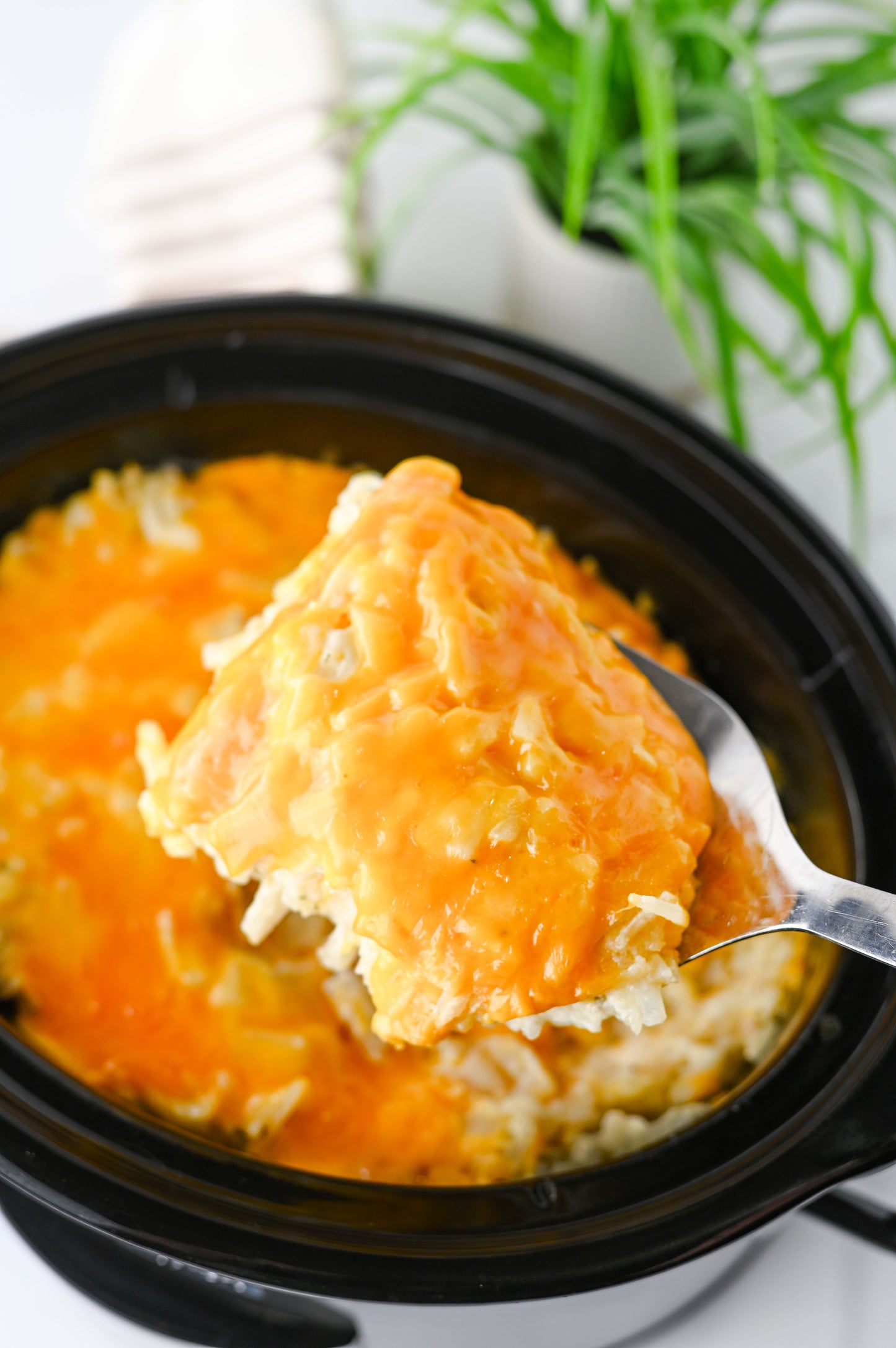 Crockpot Hashbrown Casserole Set #1