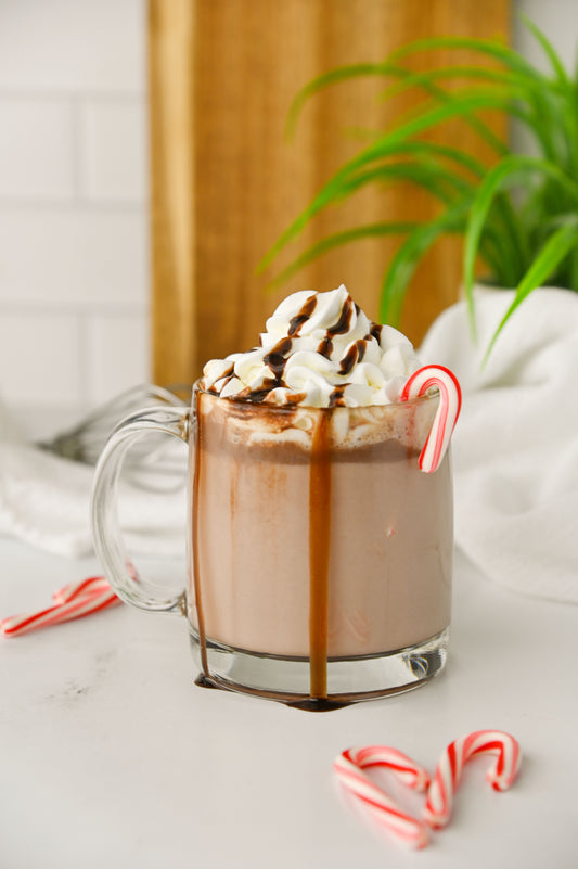 Crockpot Peppermint Hot Chocolate Set #1