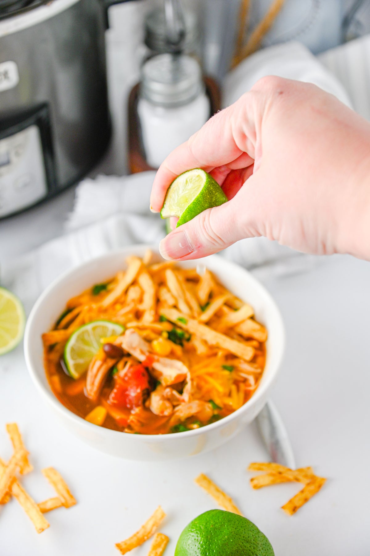 Slow Cooker Enchilada Soup Set #1