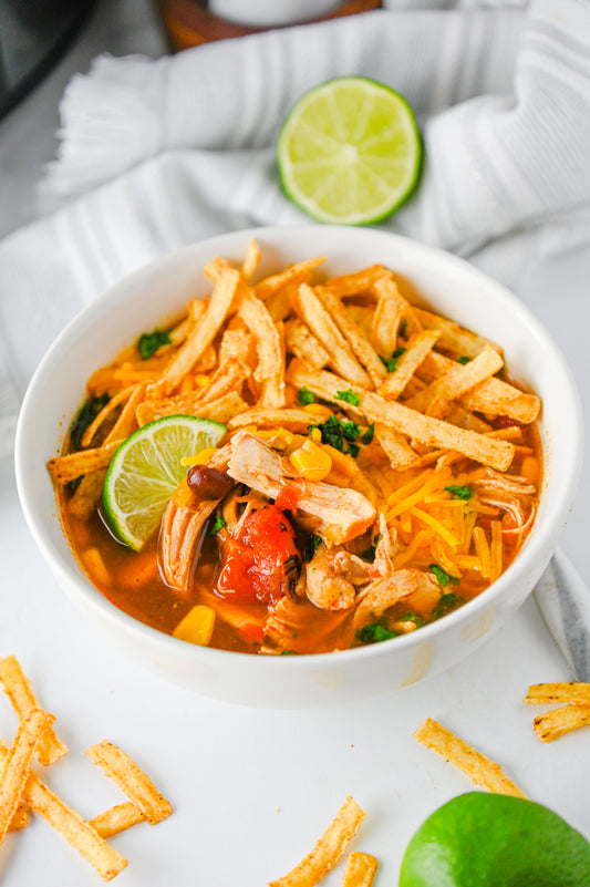 Slow Cooker Enchilada Soup Set #1