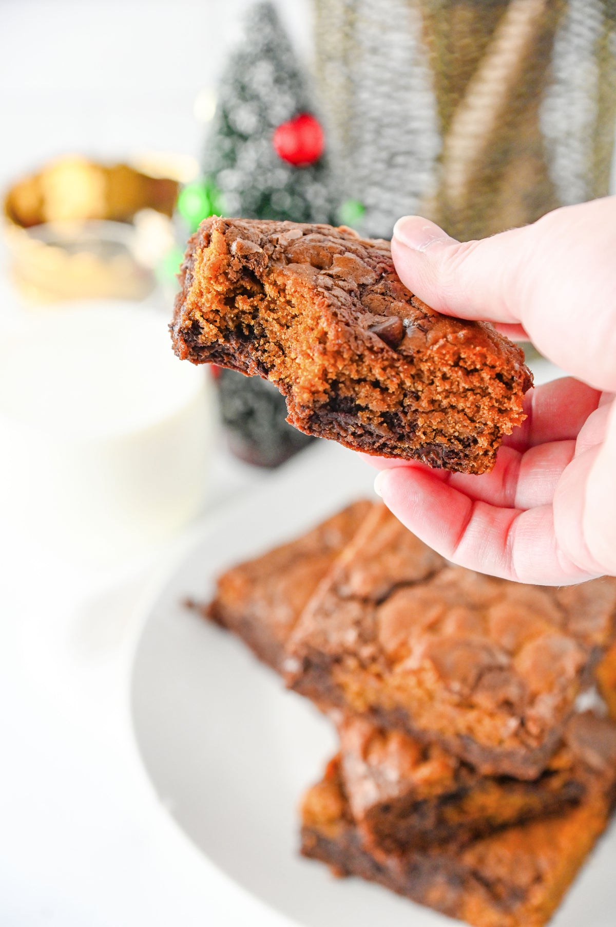 Gingerbread Brownies Set #1