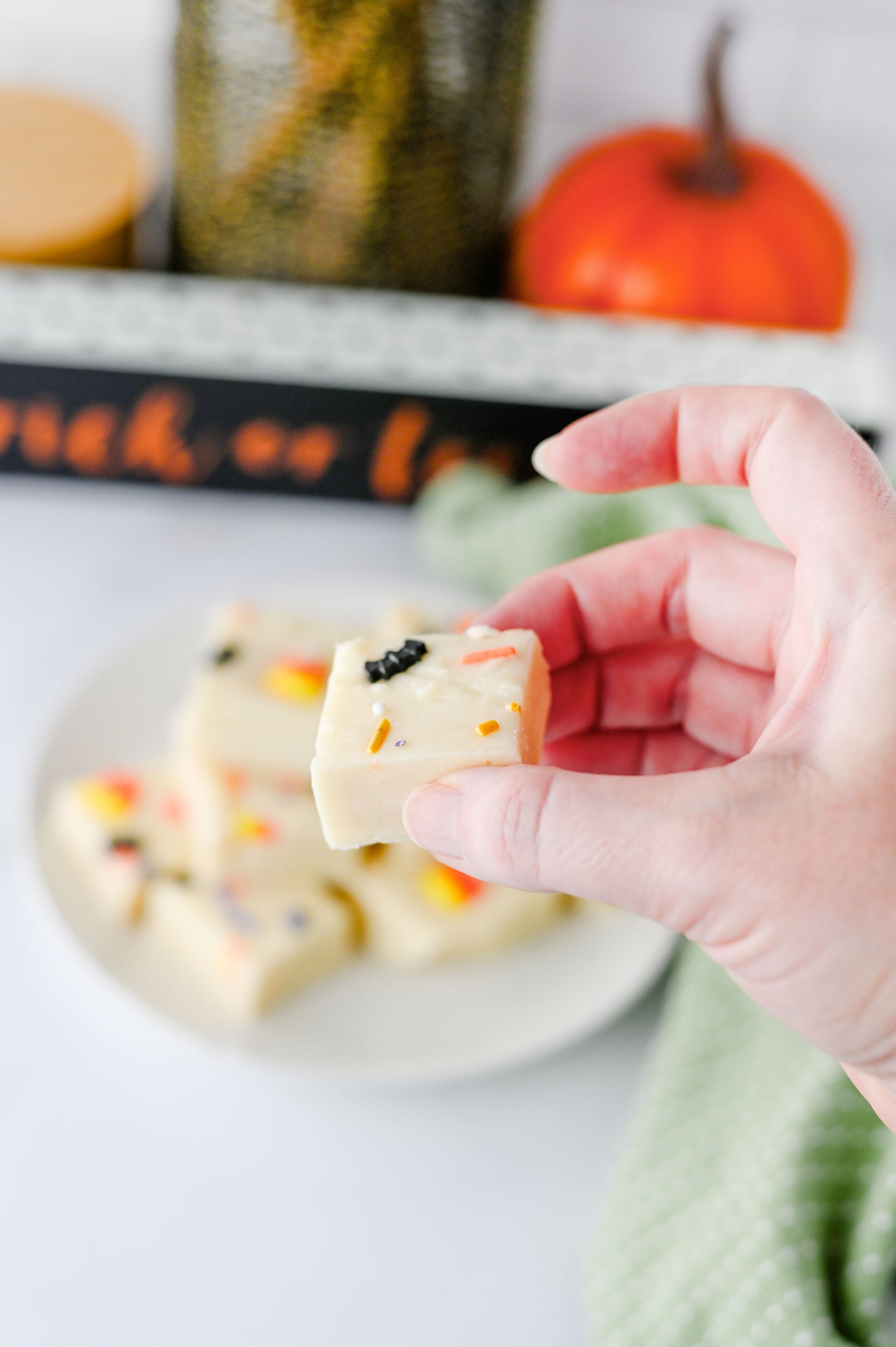 Halloween Fudge Set #1