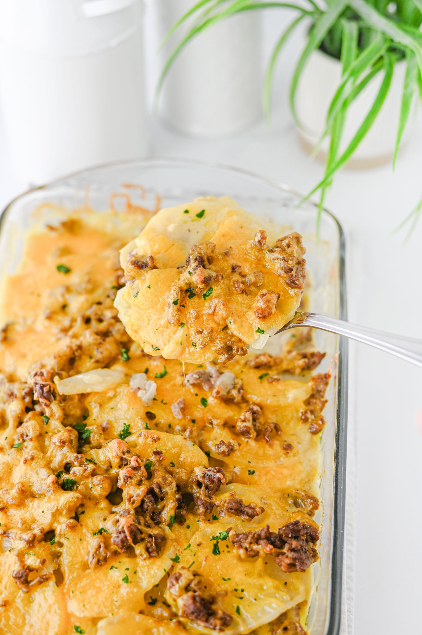 Hamburger Potato Casserole Set #1