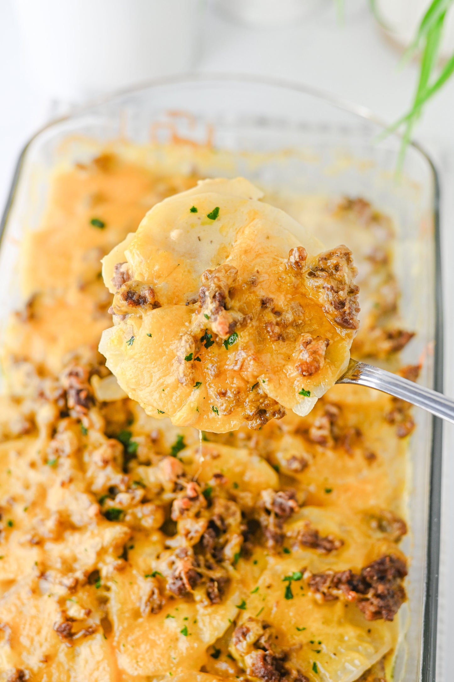 Hamburger Potato Casserole Set #1