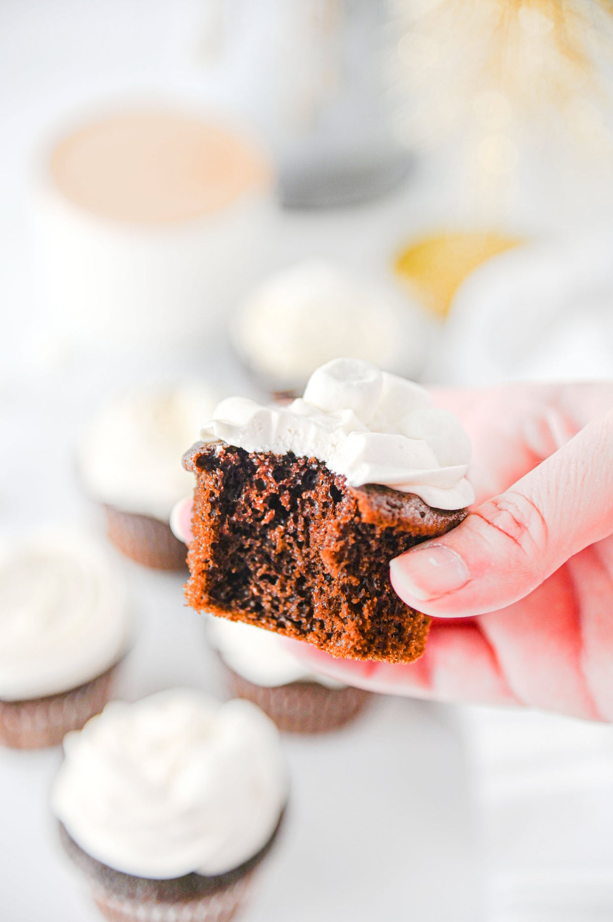 Hot Chocolate Cupcakes Set #1
