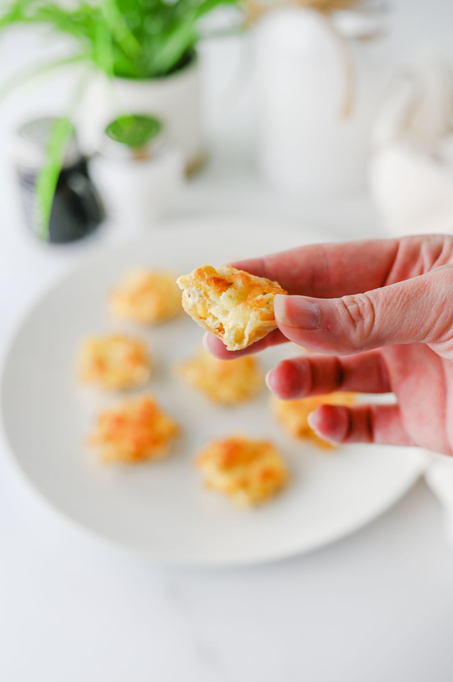 Iowa Party Bites Set #1