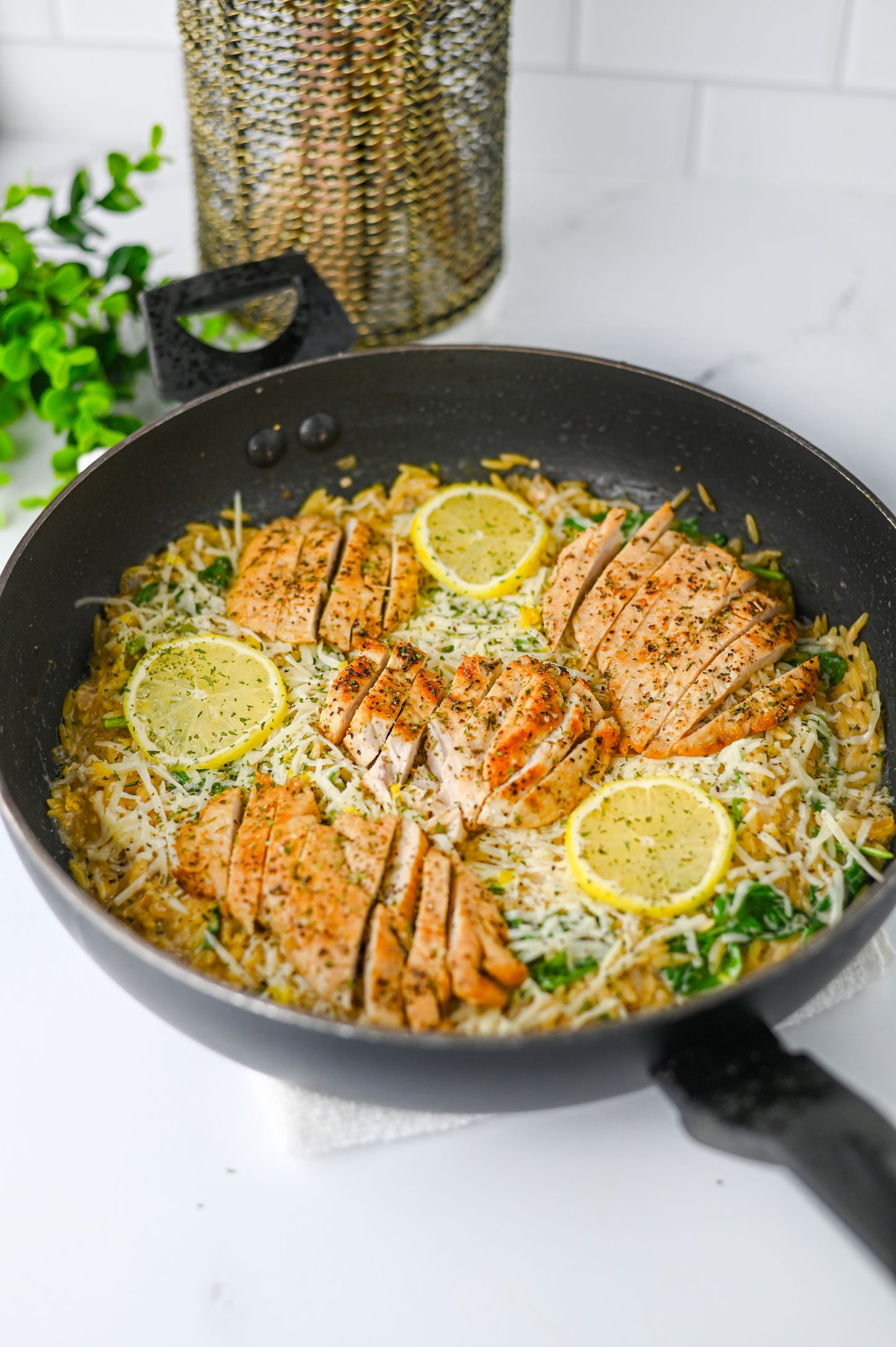 Lemon Chicken Orzo Set #1