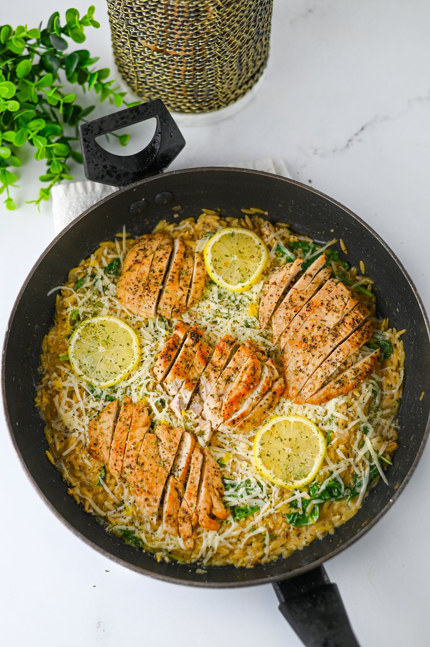 Lemon Chicken Orzo Set #1