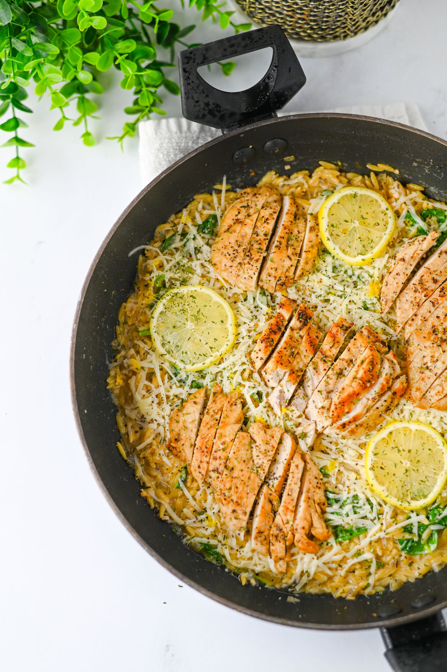 Lemon Chicken Orzo Set #1