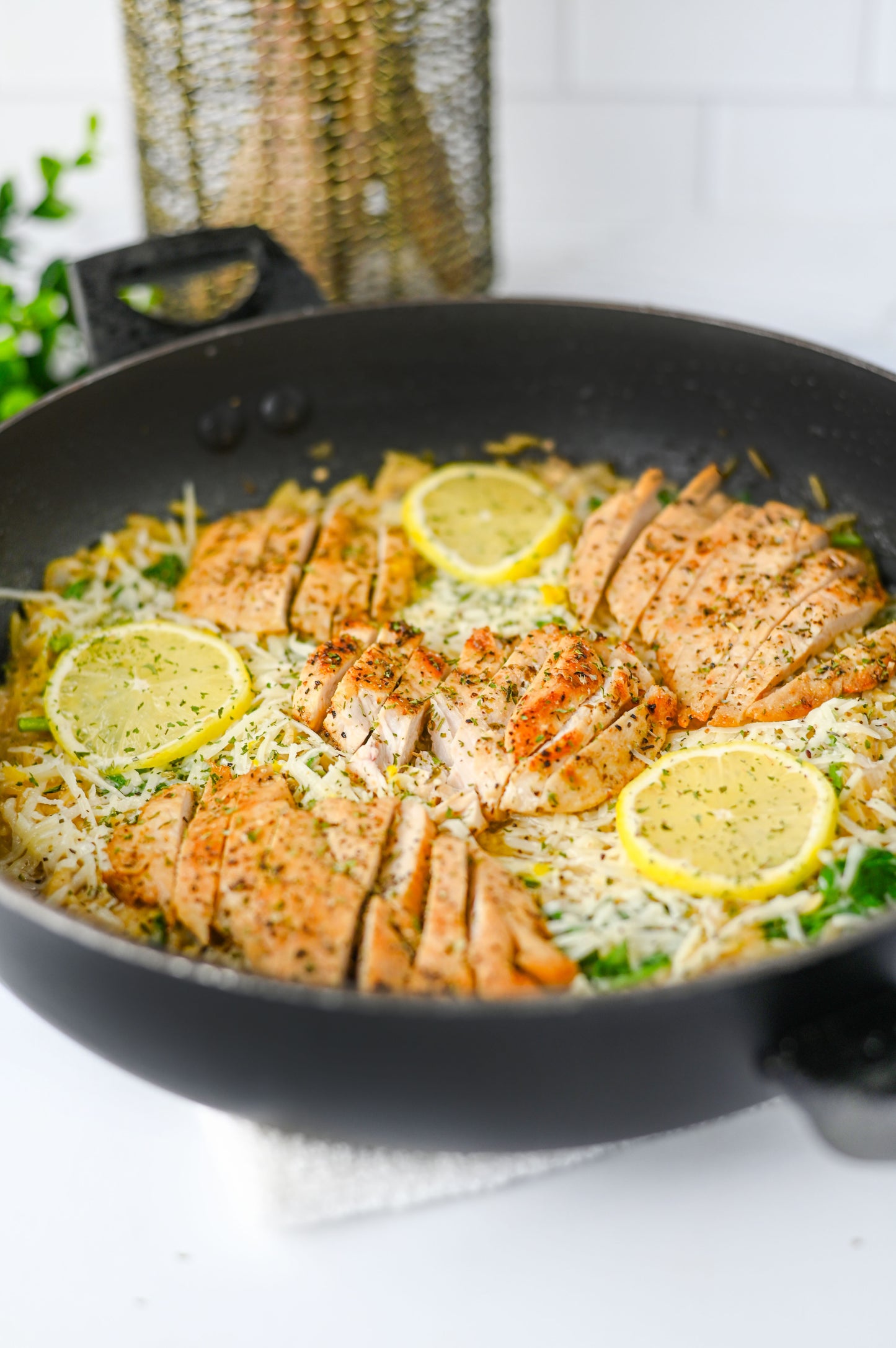 Lemon Chicken Orzo Set #1