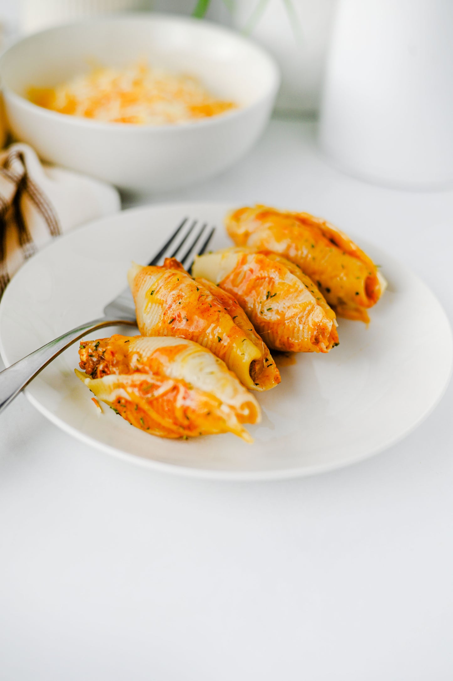 Mexican Stuffed Shells Set #1