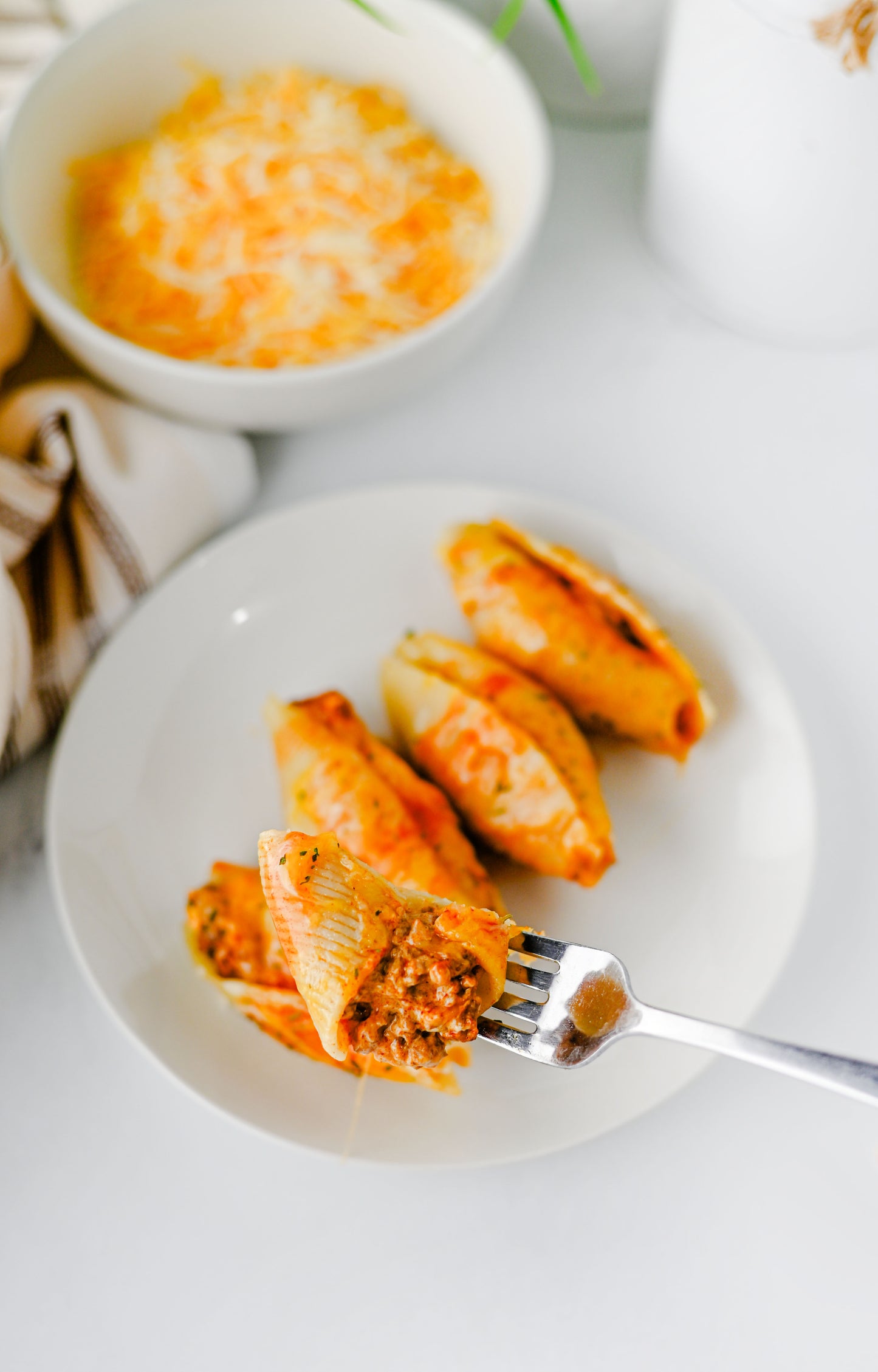 Mexican Stuffed Shells Set #1